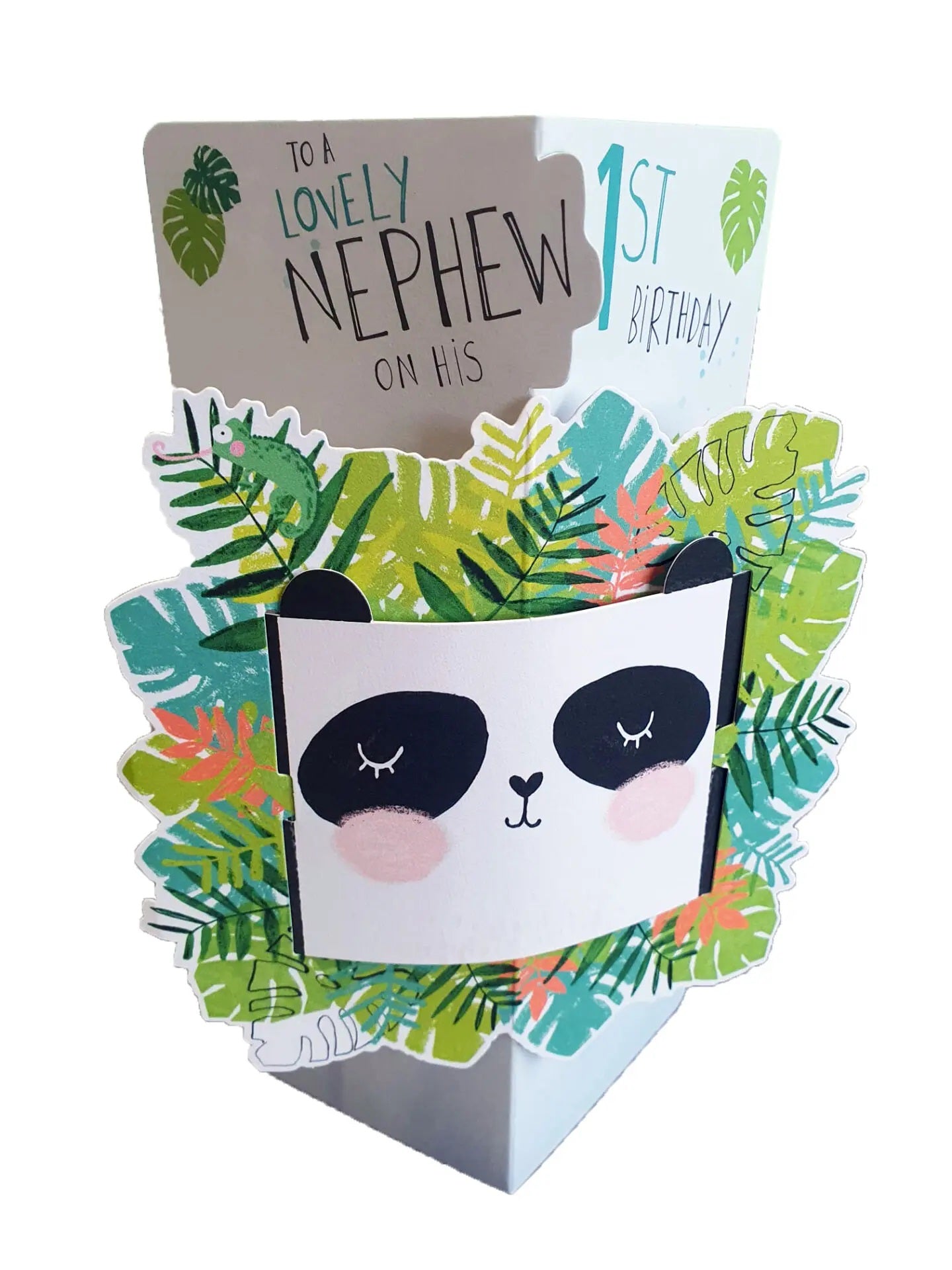 Pop Up Nephew 1st Birthday Card - Panda