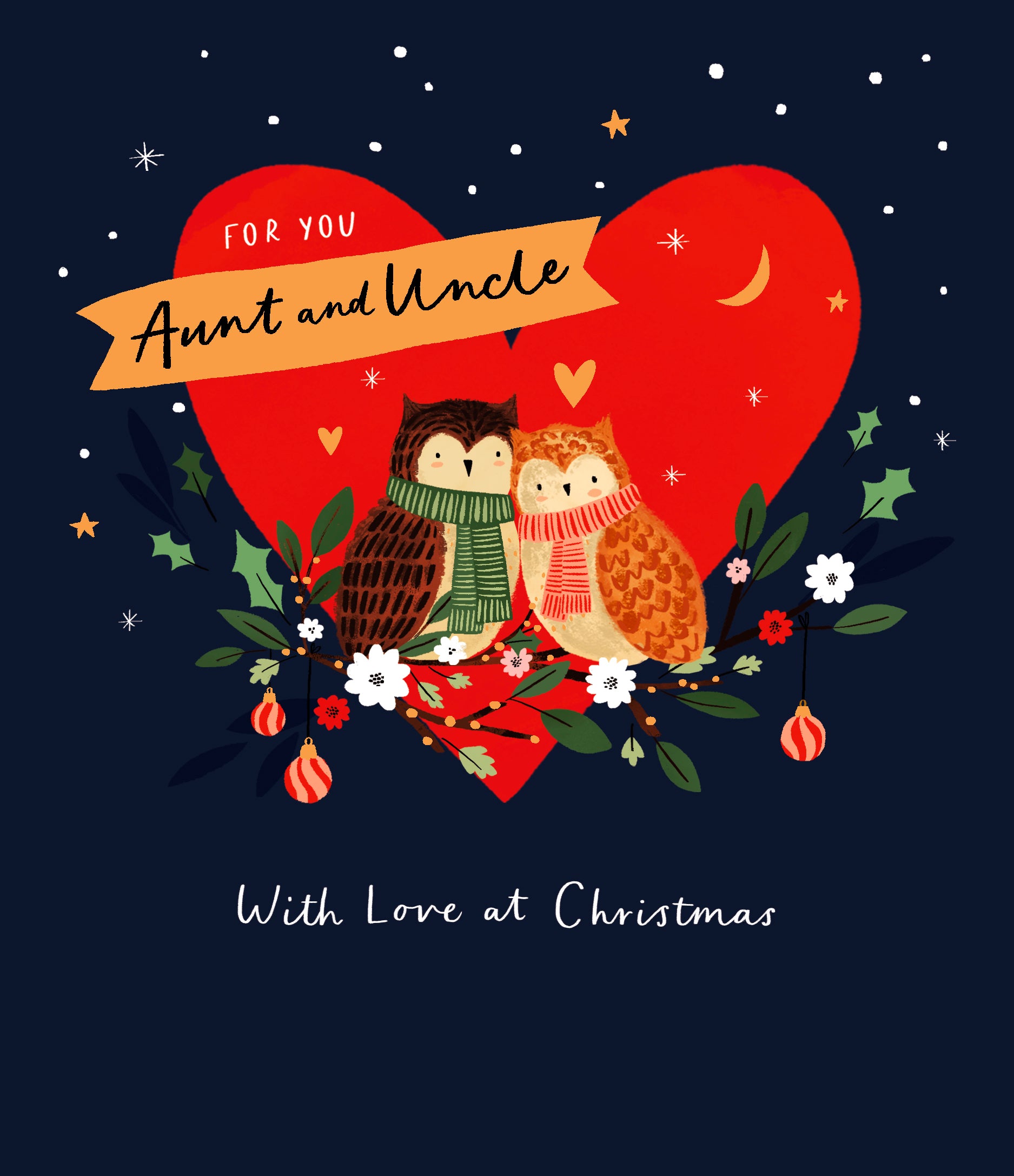 Aunt and Uncle Christmas Card - Owls Under a Night Sky