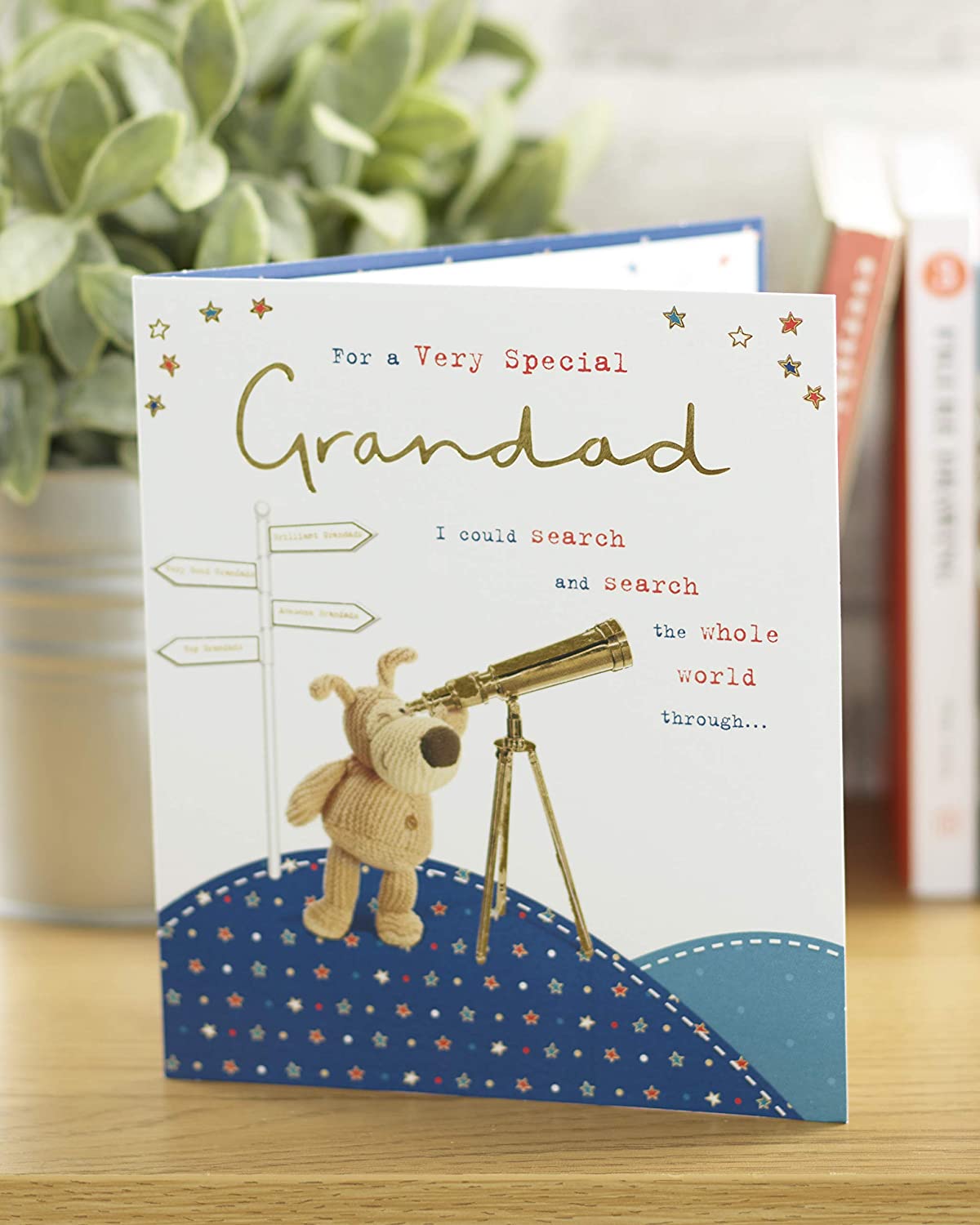 Grandad Birthday Card - Boofle Says You Are One Of A kind