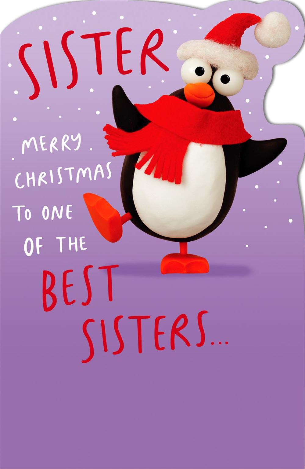 Humorous Sister Christmas Card - One of the Best