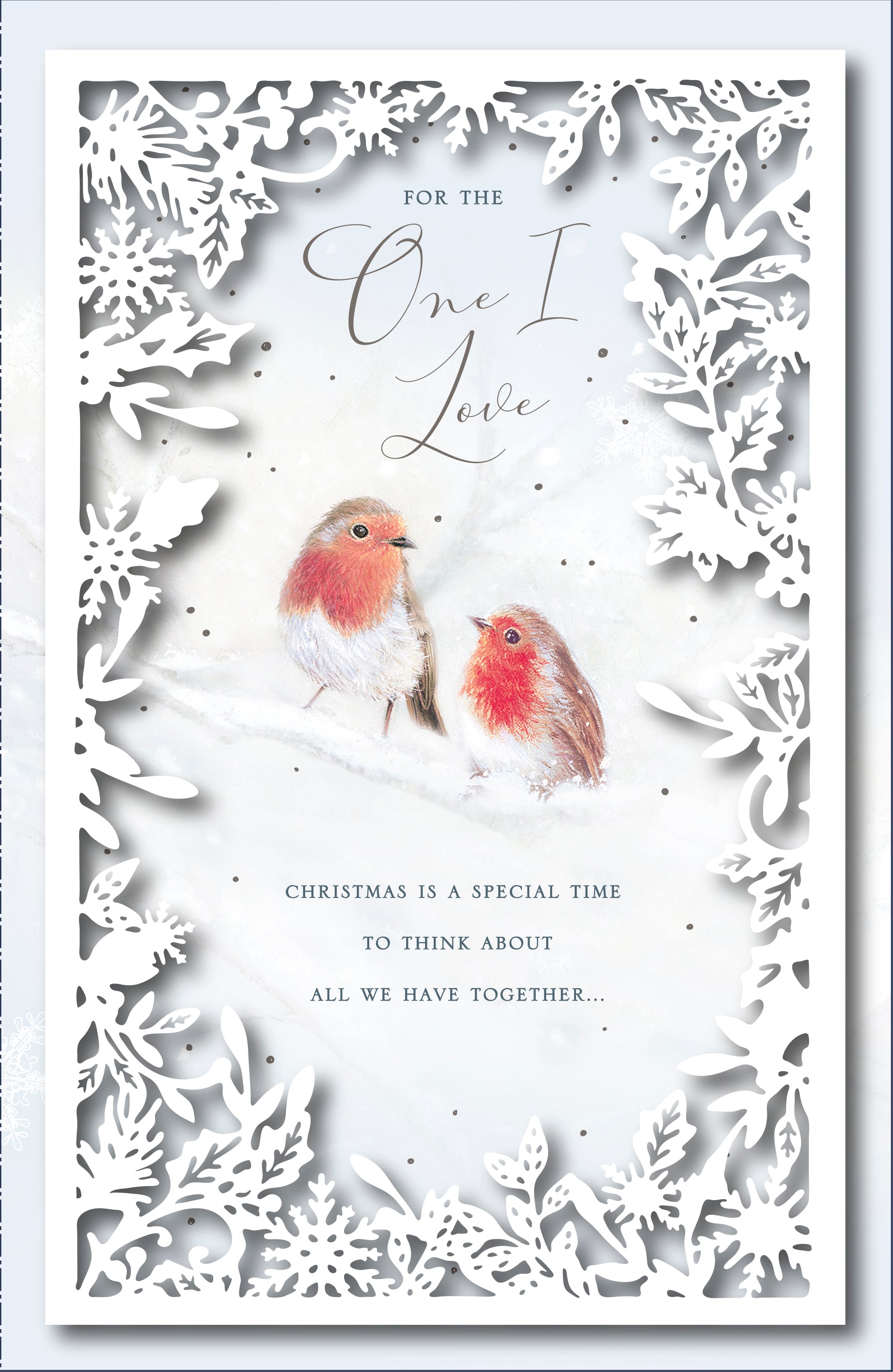 One I Love Christmas Card - Couple of Robins