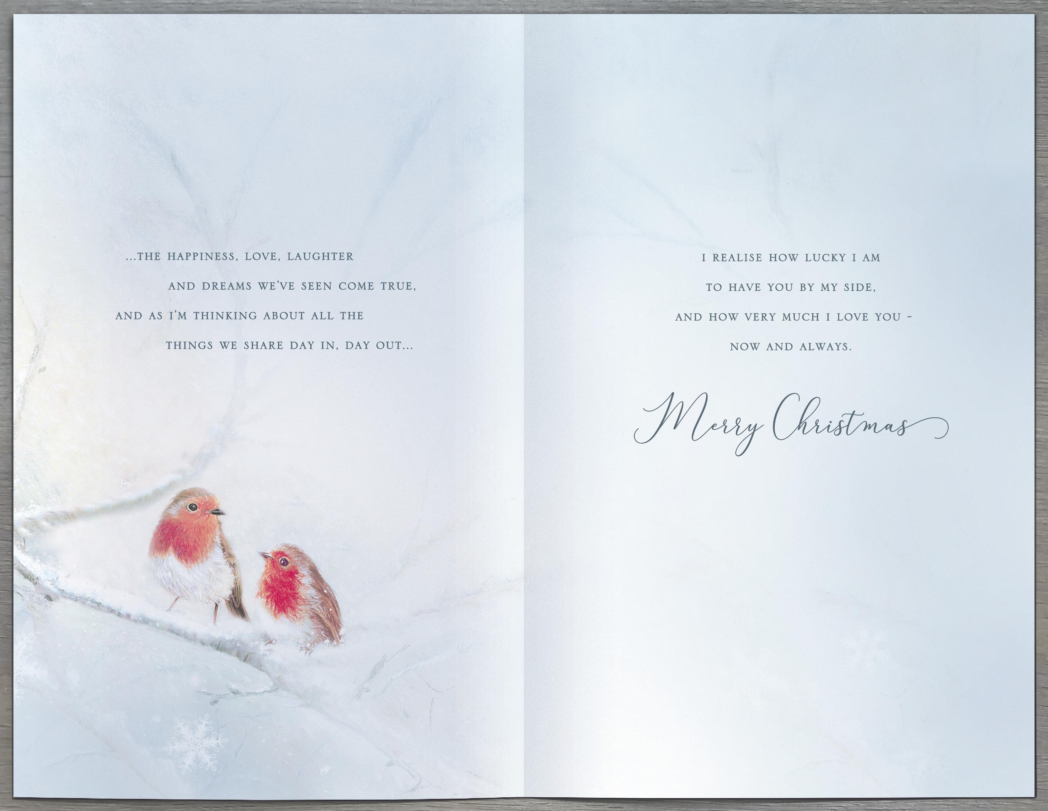 One I Love Christmas Card - Couple of Robins