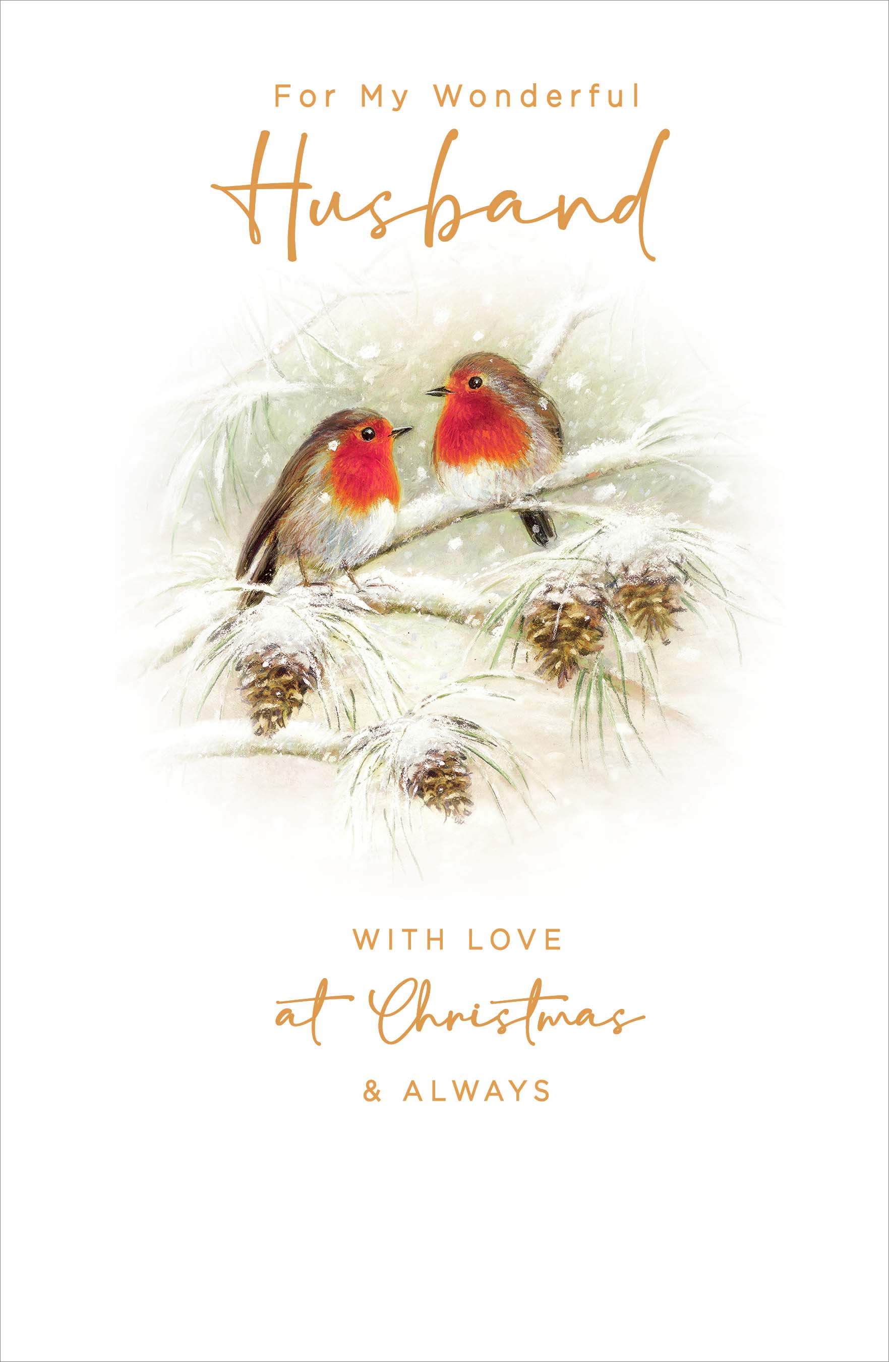 Husband Christmas Card - Robins on a Snowy Branch