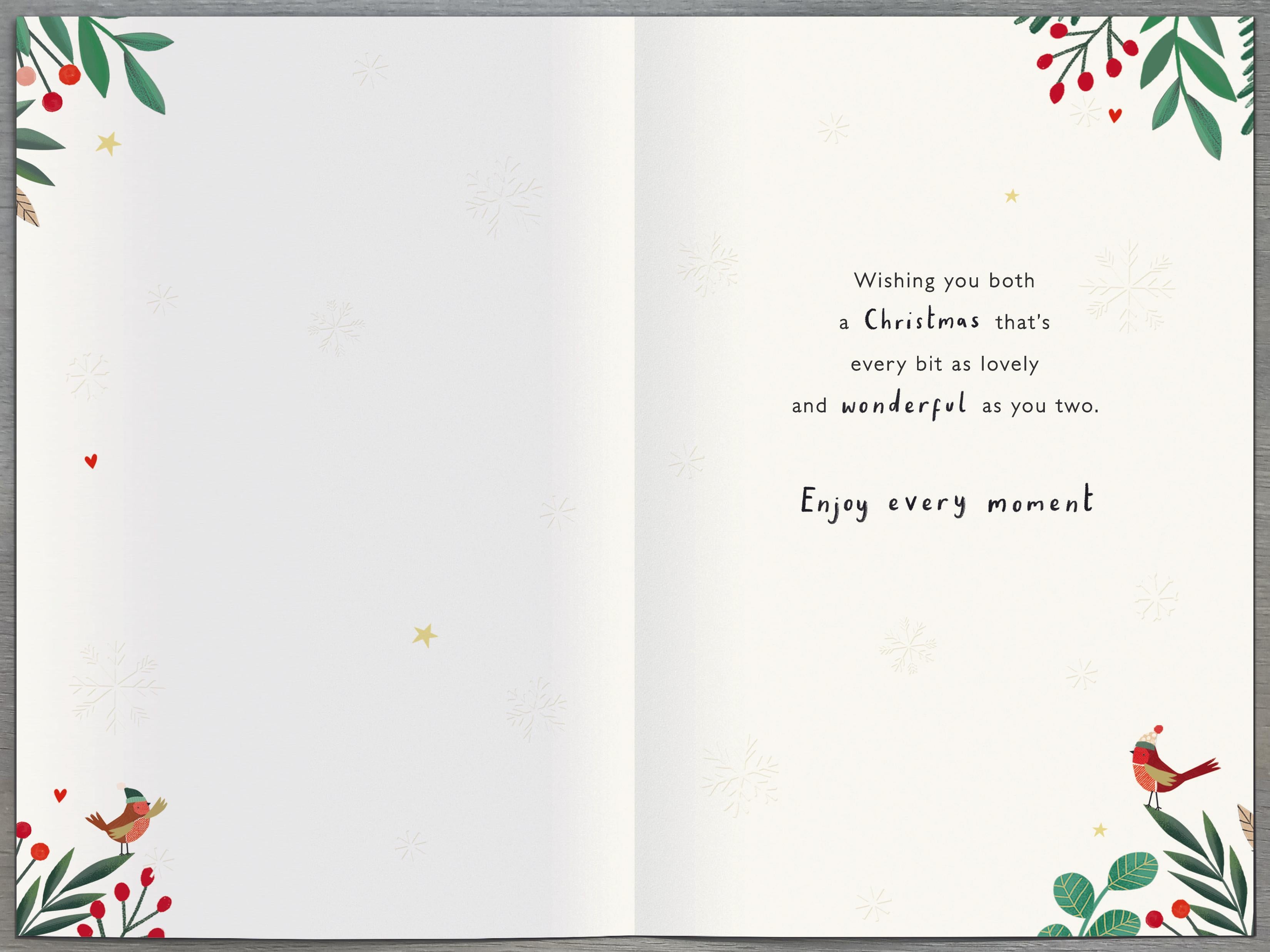 Special Couple Christmas Card - Couple of Robins Snuggling