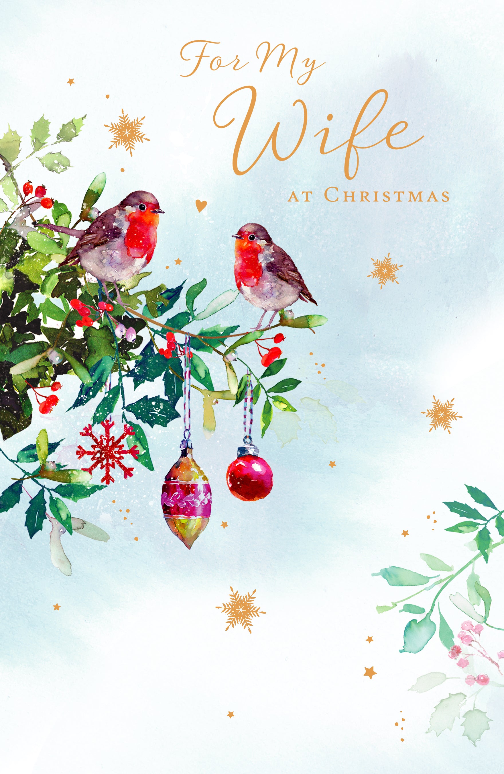 Wife Christmas Card - Two Robins