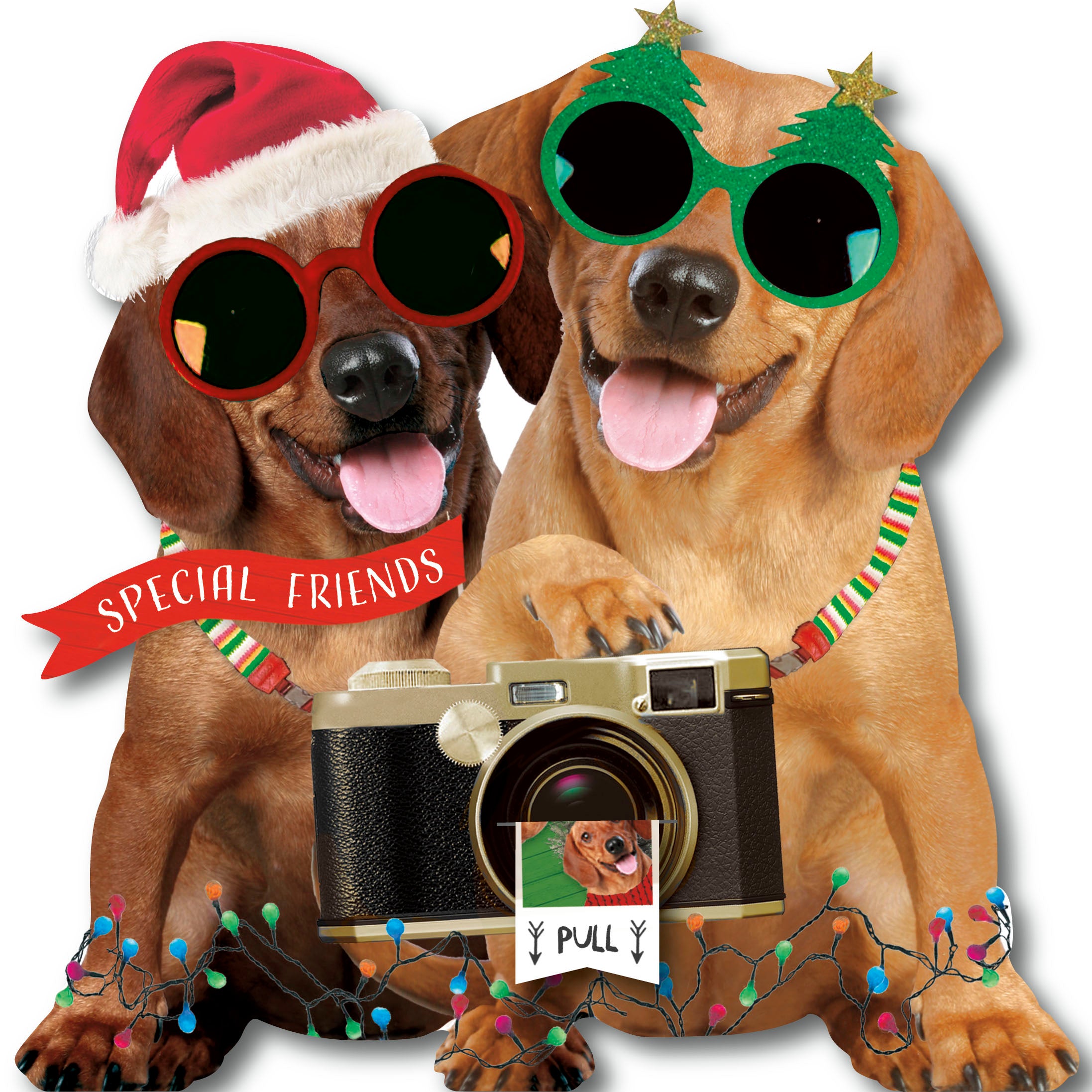 Special Friends Christmas Card - Have a "Wuff-ly Christmas"