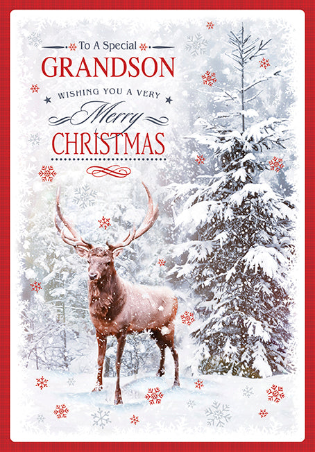 To A Special Grandson Wishing You A Very Christmas Card