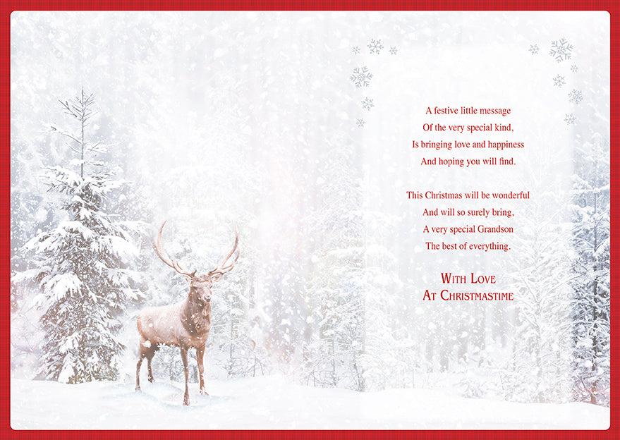 To A Special Grandson Wishing You A Very Christmas Card