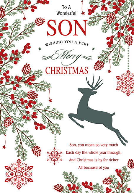 Son Christmas Card