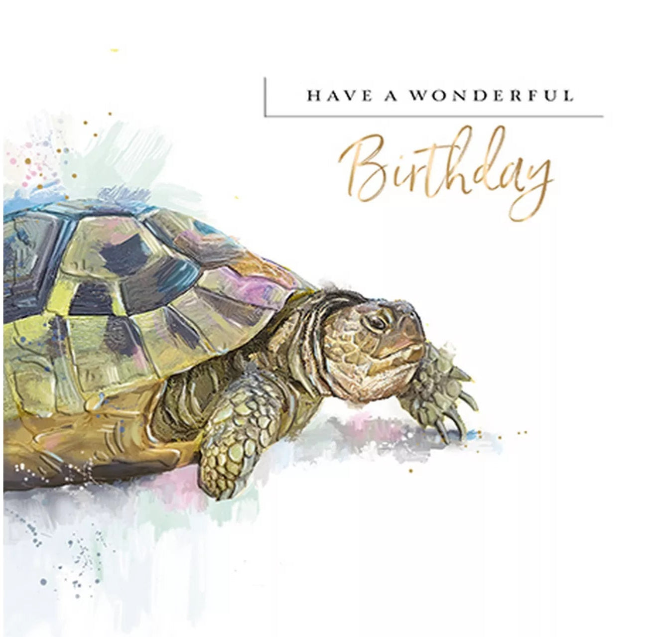 Blank Birthday Card - A Turtley Amazing Day