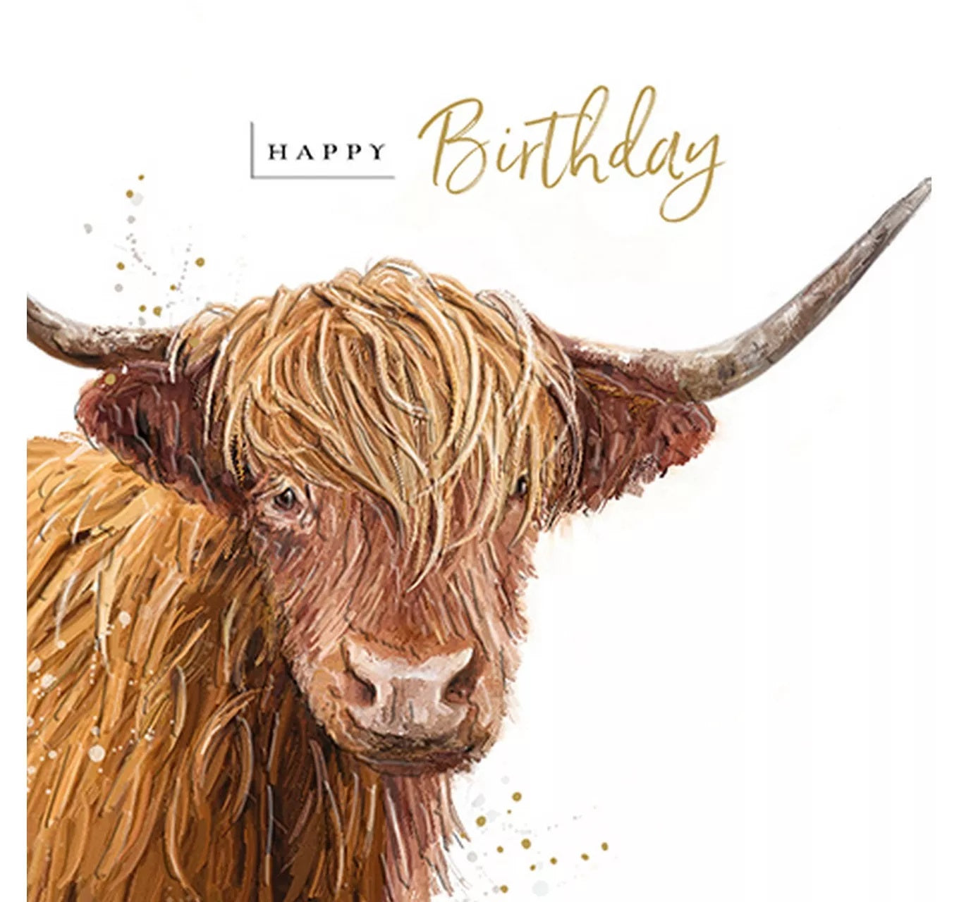 Blank Birthday Card - Great Birthday