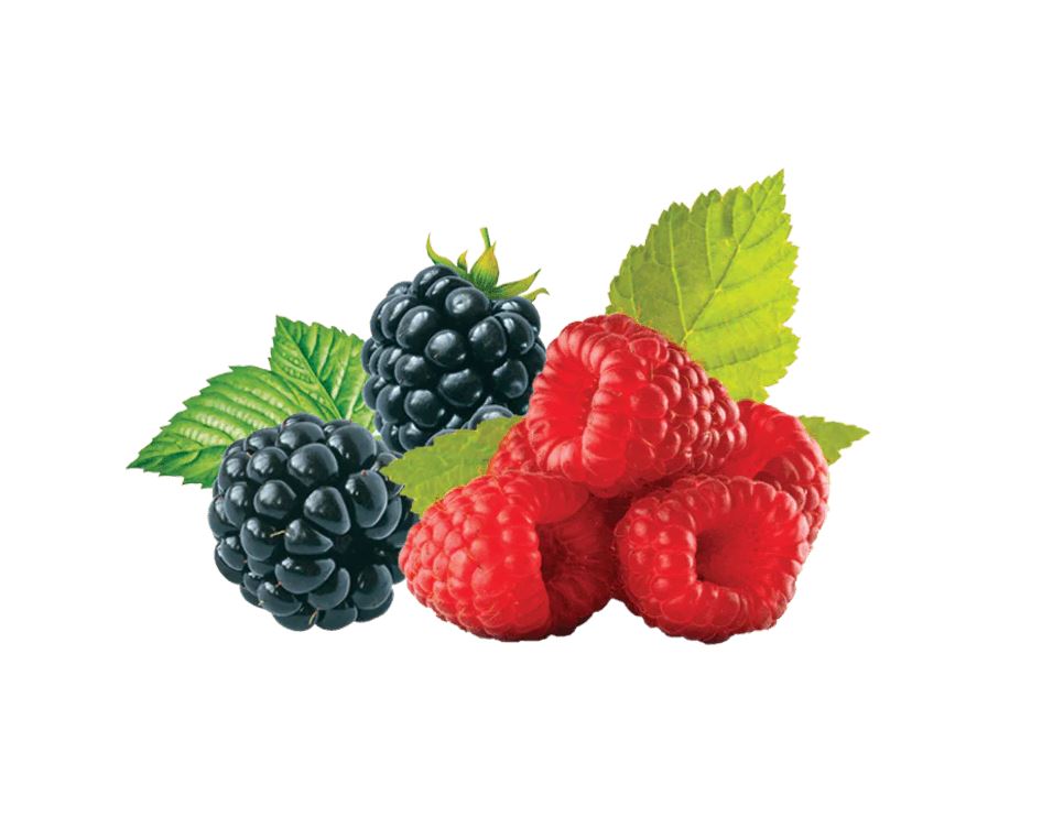 Italian blackberry & raspberry fruit jellies - 6x200g