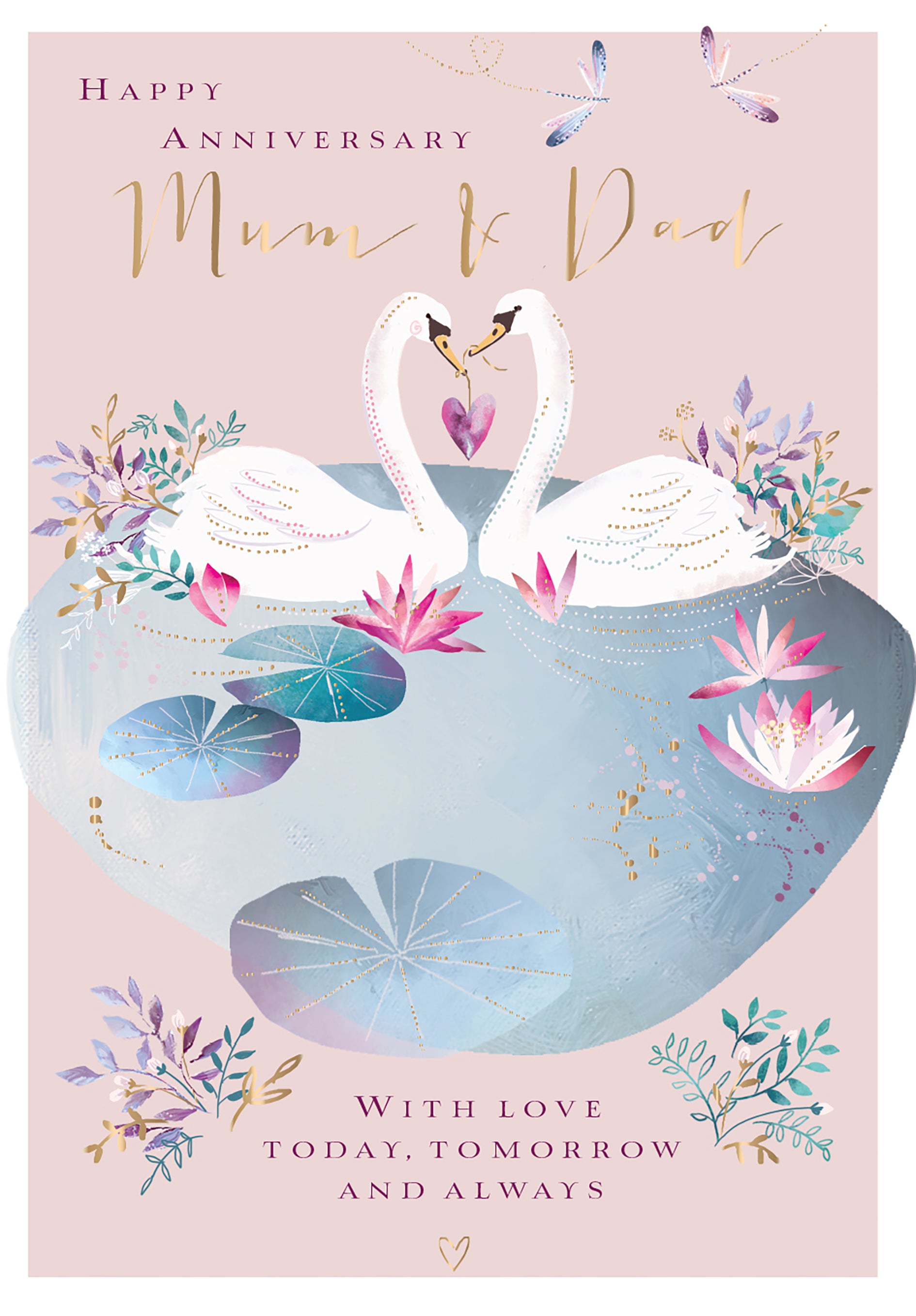 Mum & Dad Anniversary Card - Swans, Soul Mates For Life