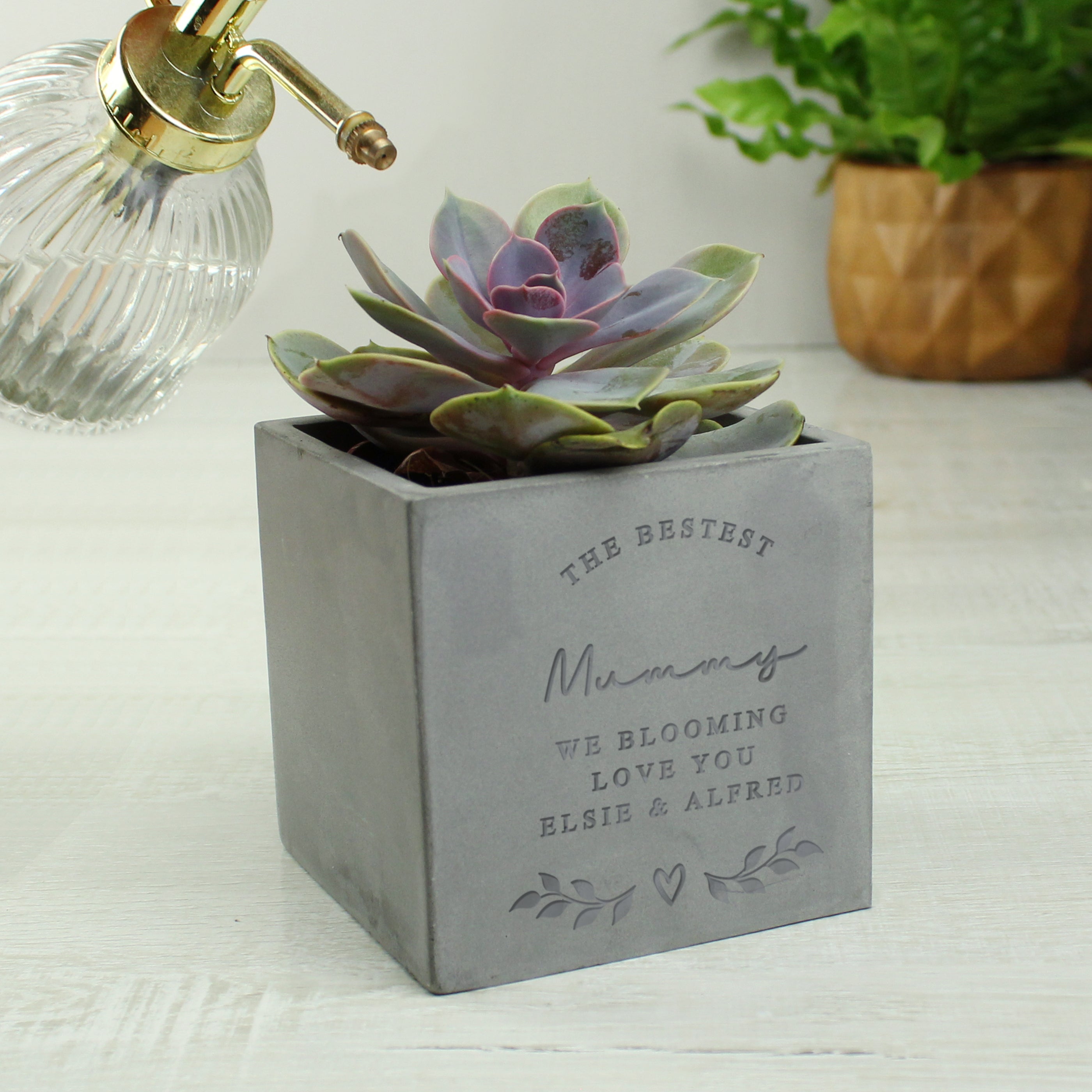 Personalised Free Text Concrete Plant Pot