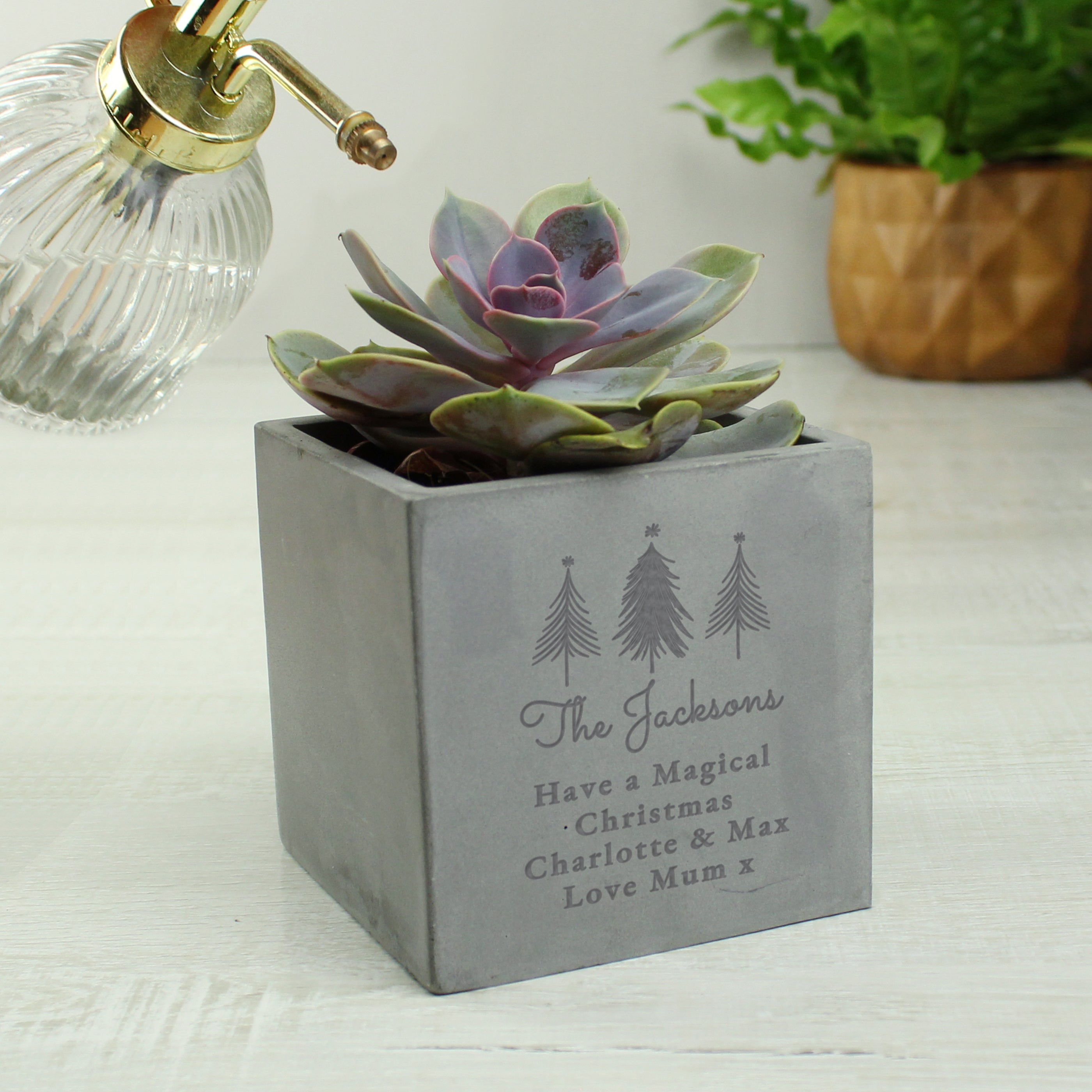 Personalised Christmas Tree Concrete Planter