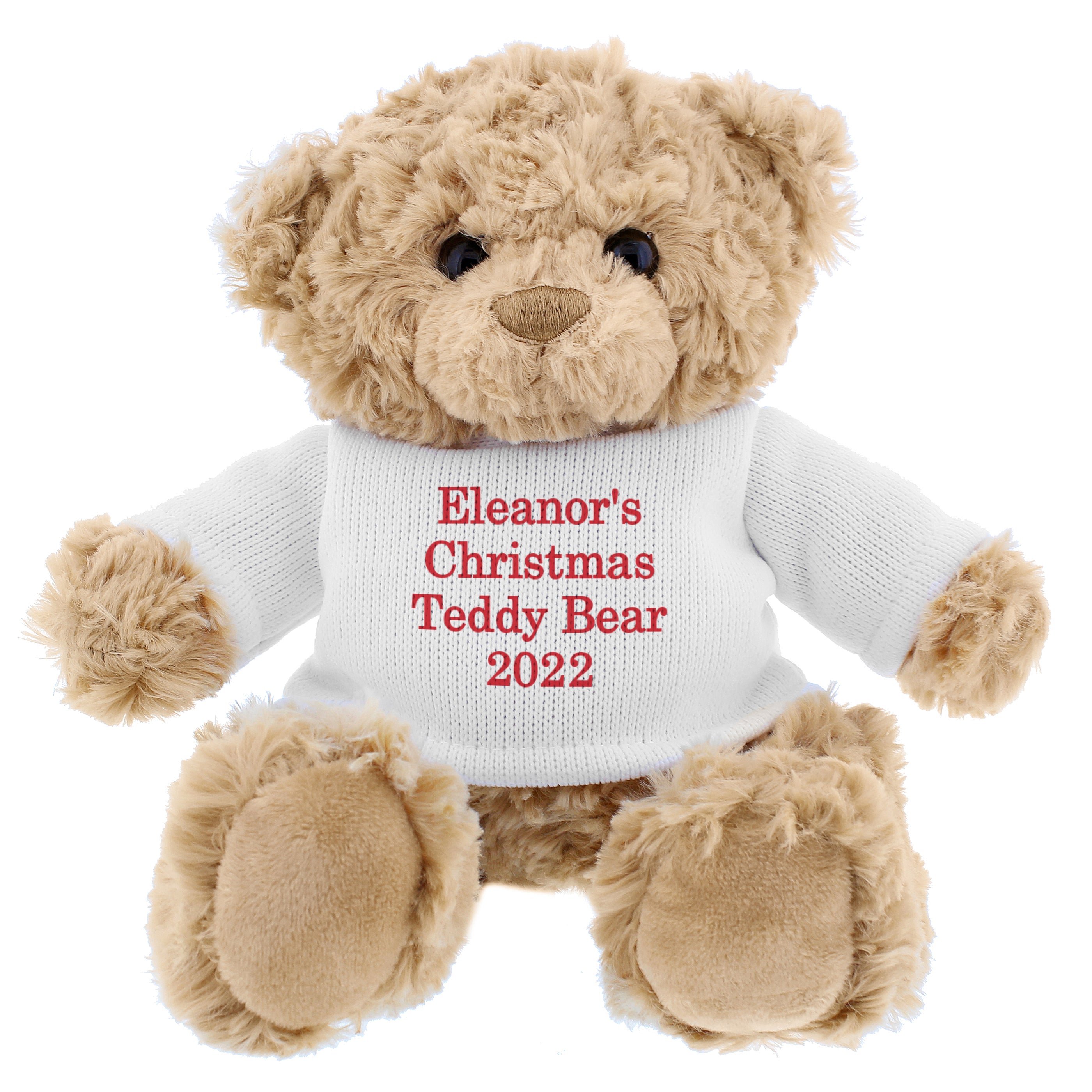 Personalised Christmas Message Teddy Bear