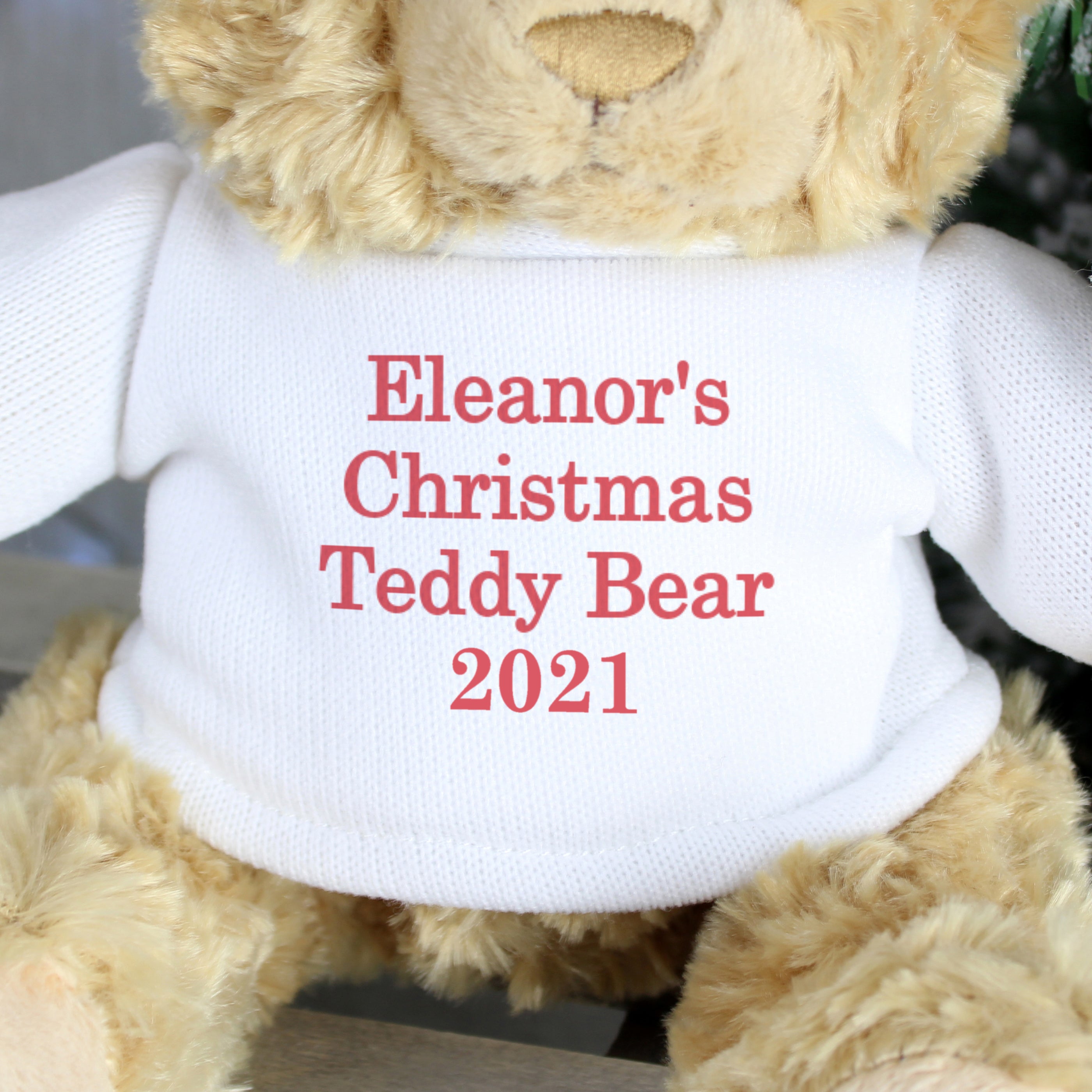 Personalised Christmas Message Teddy Bear