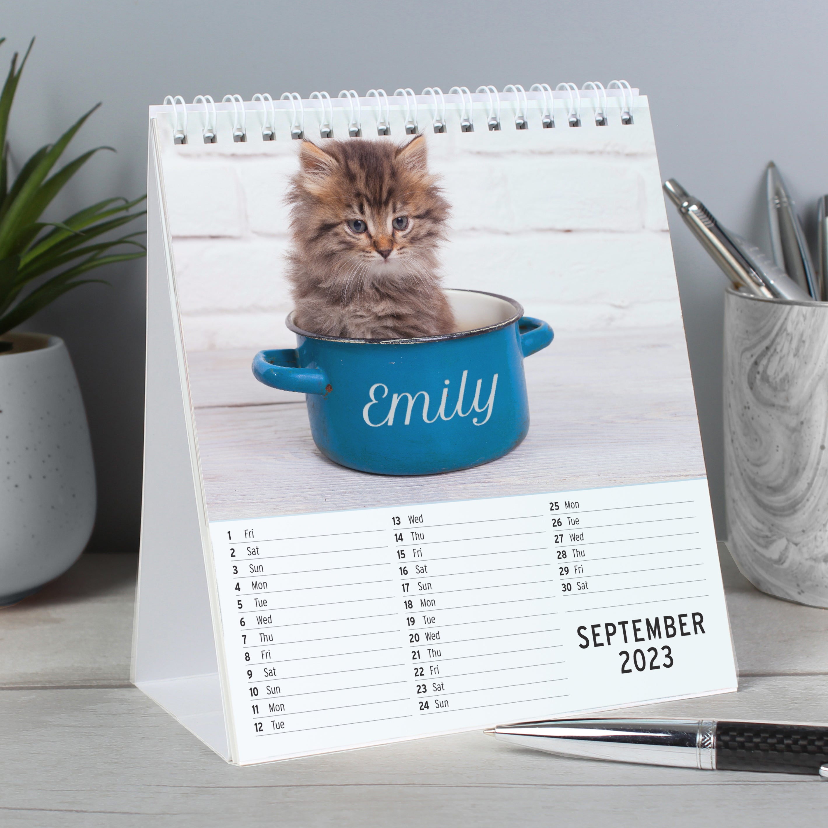 Personalised Cats and Kittens Desk Calendar