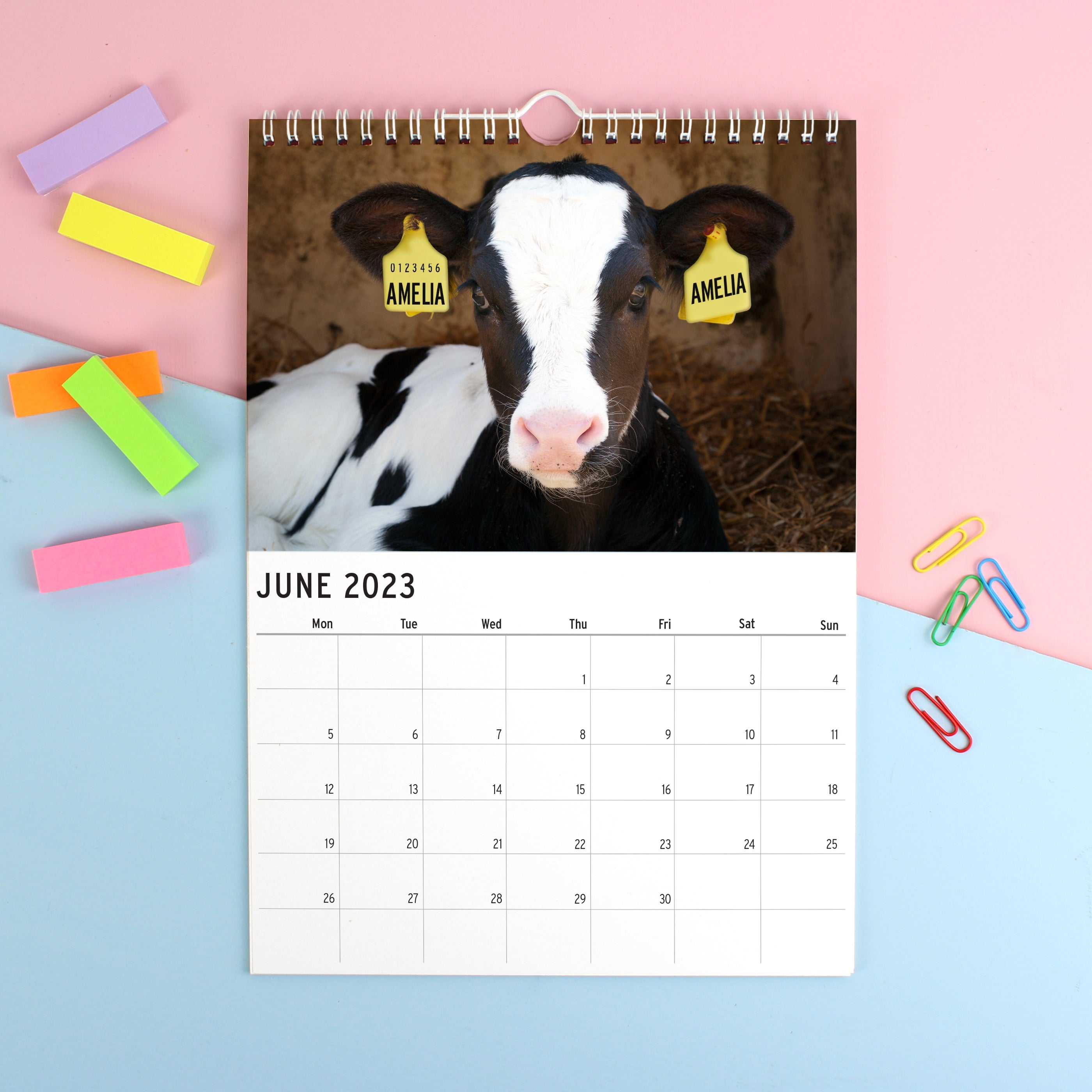 Personalised A4 Cute Animals Calendar