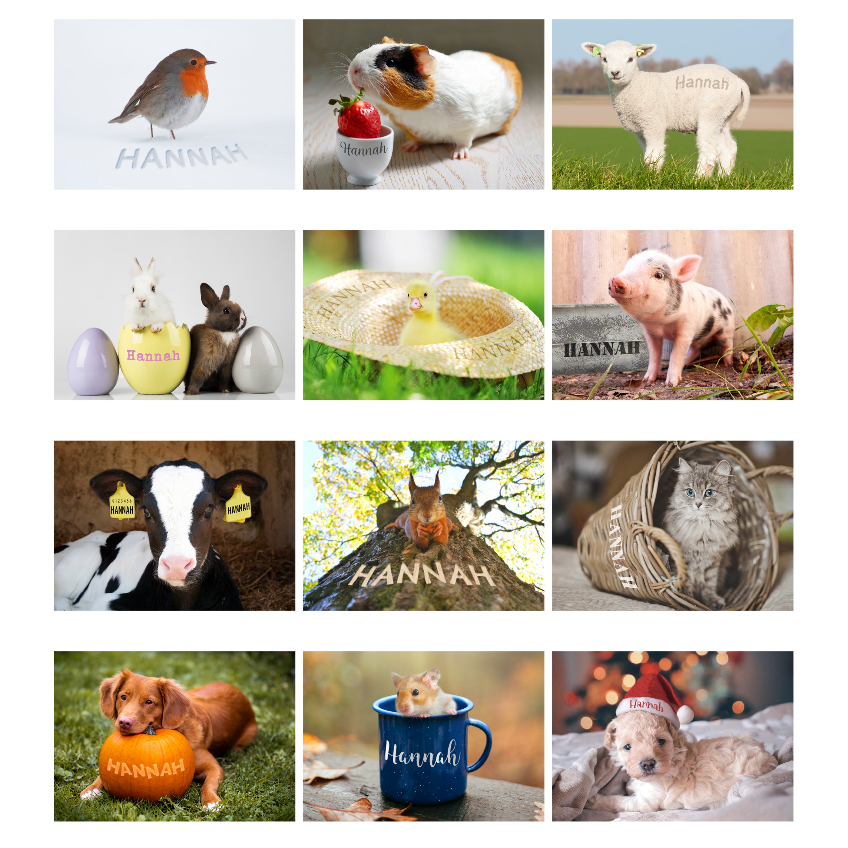 Personalised A4 Cute Animals Calendar