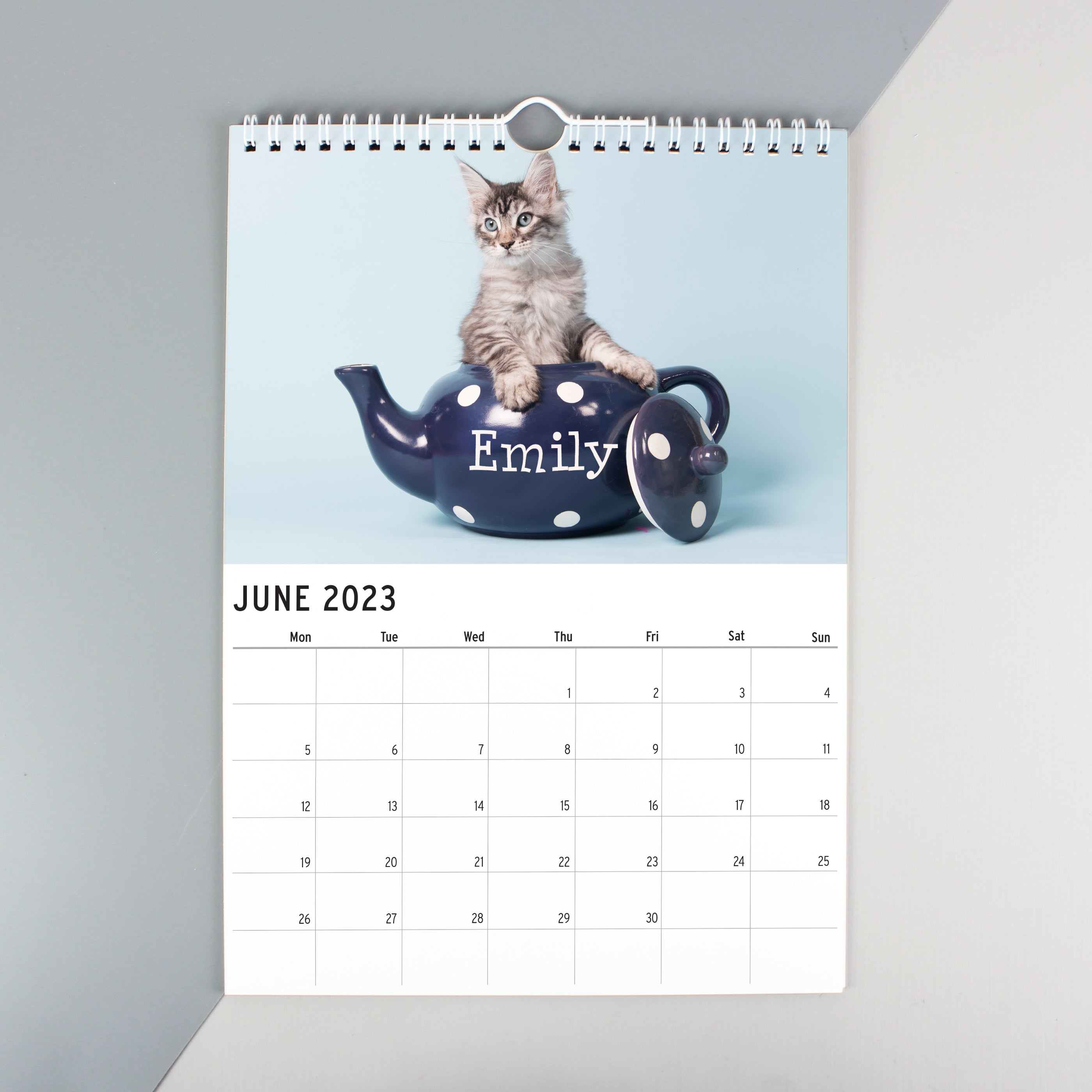 Personalised A4 Cats & Kittens Calendar