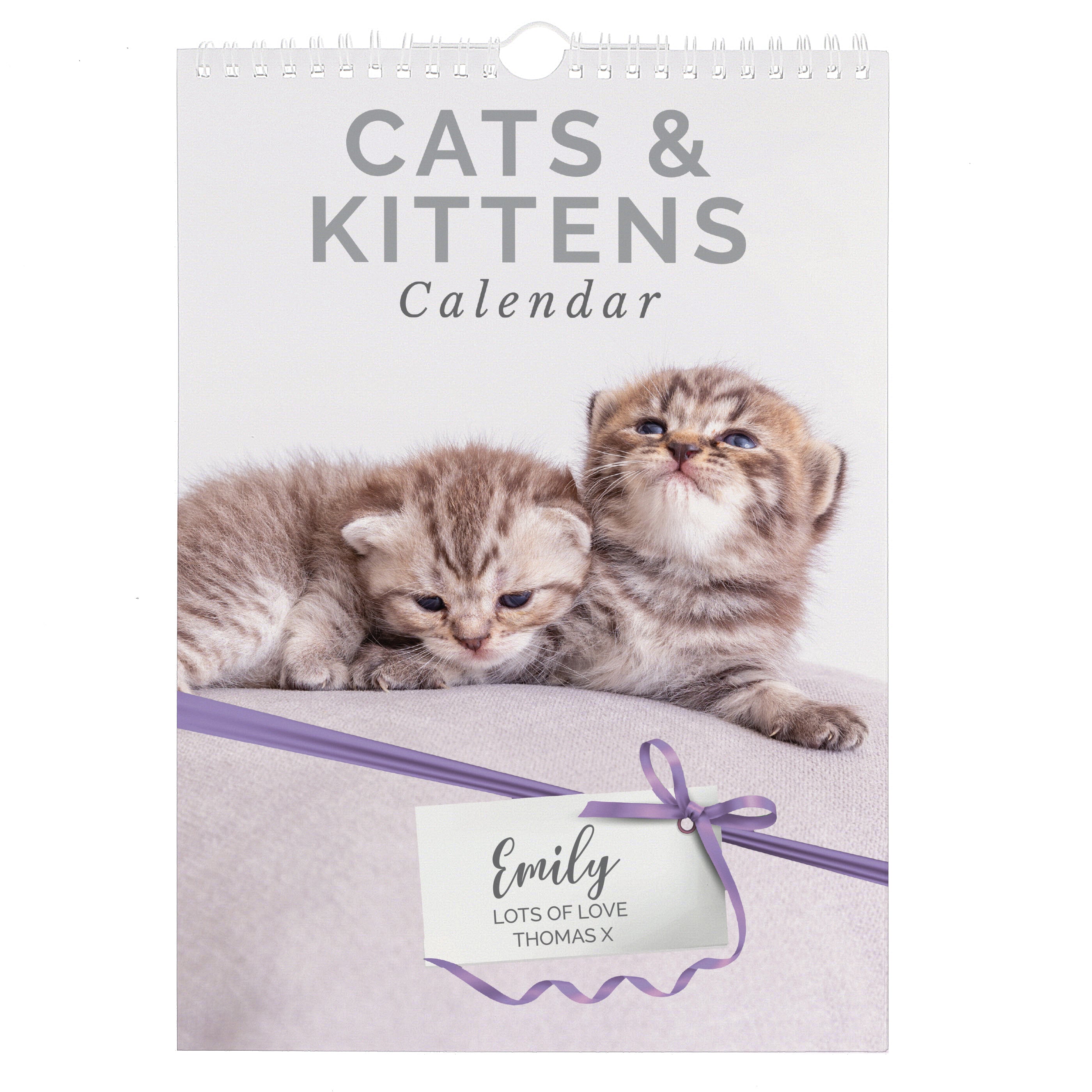 Personalised A4 Cats & Kittens Calendar