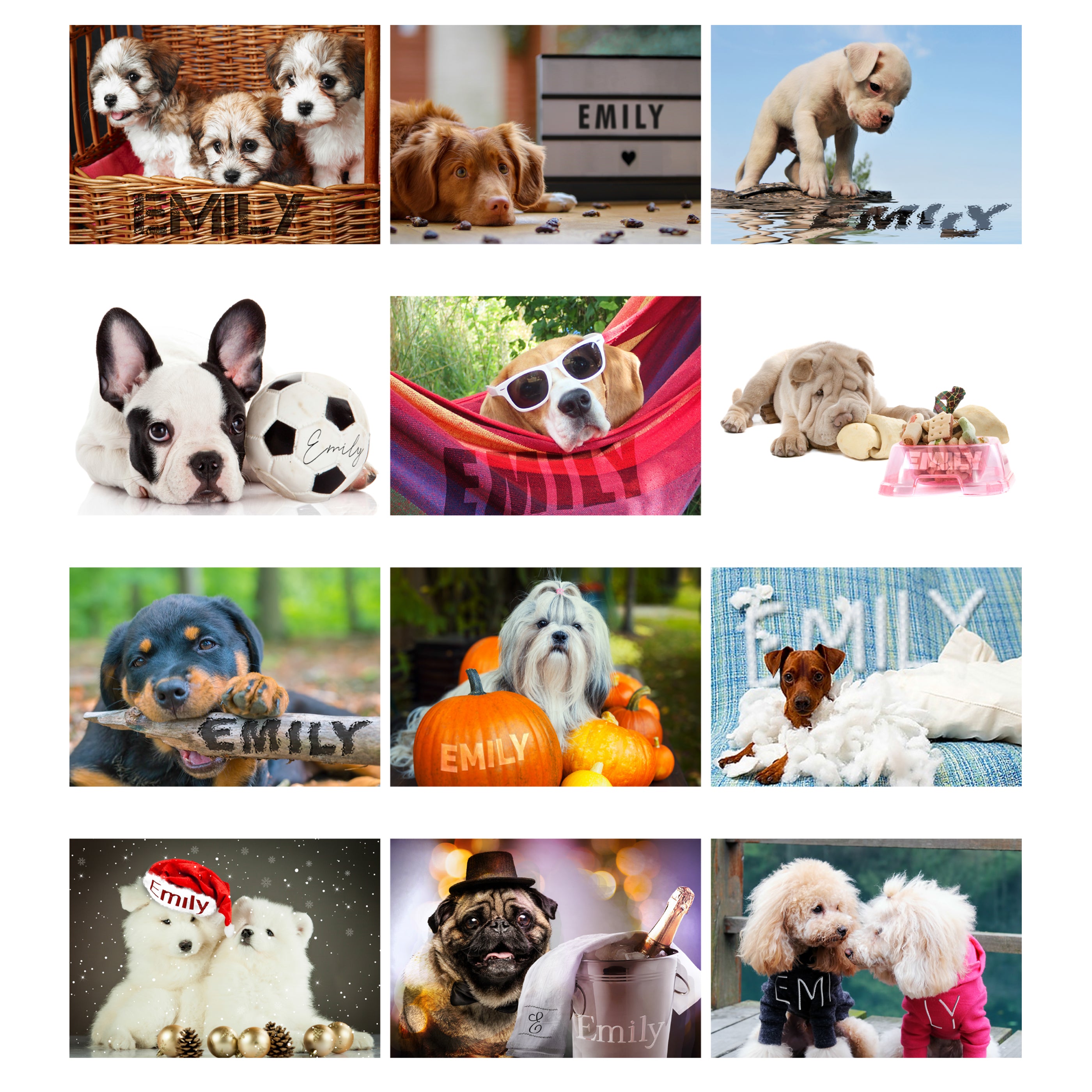 Personalised A4 Barking Mad Calendar