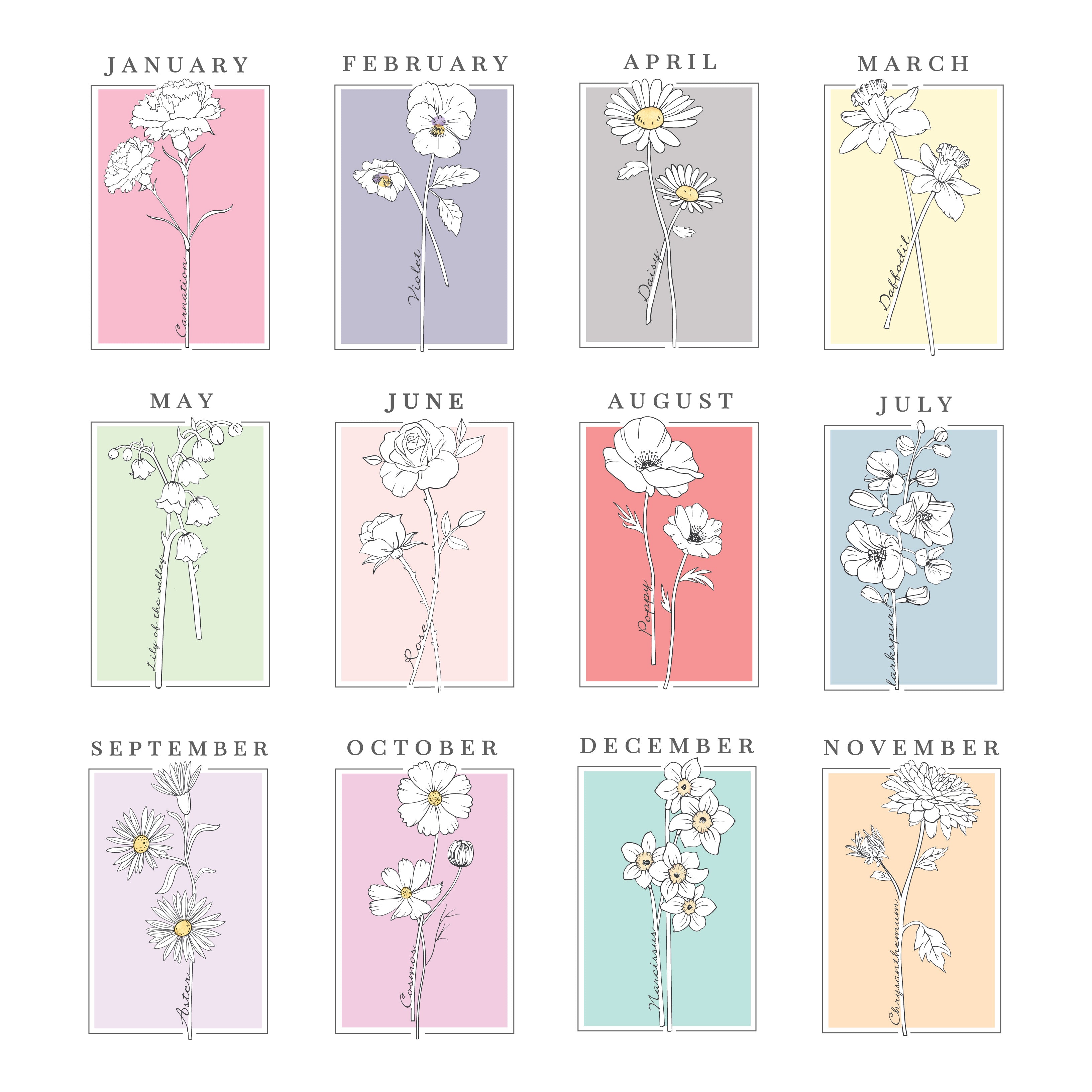 Personalised Birth Flower White A4 Framed Print