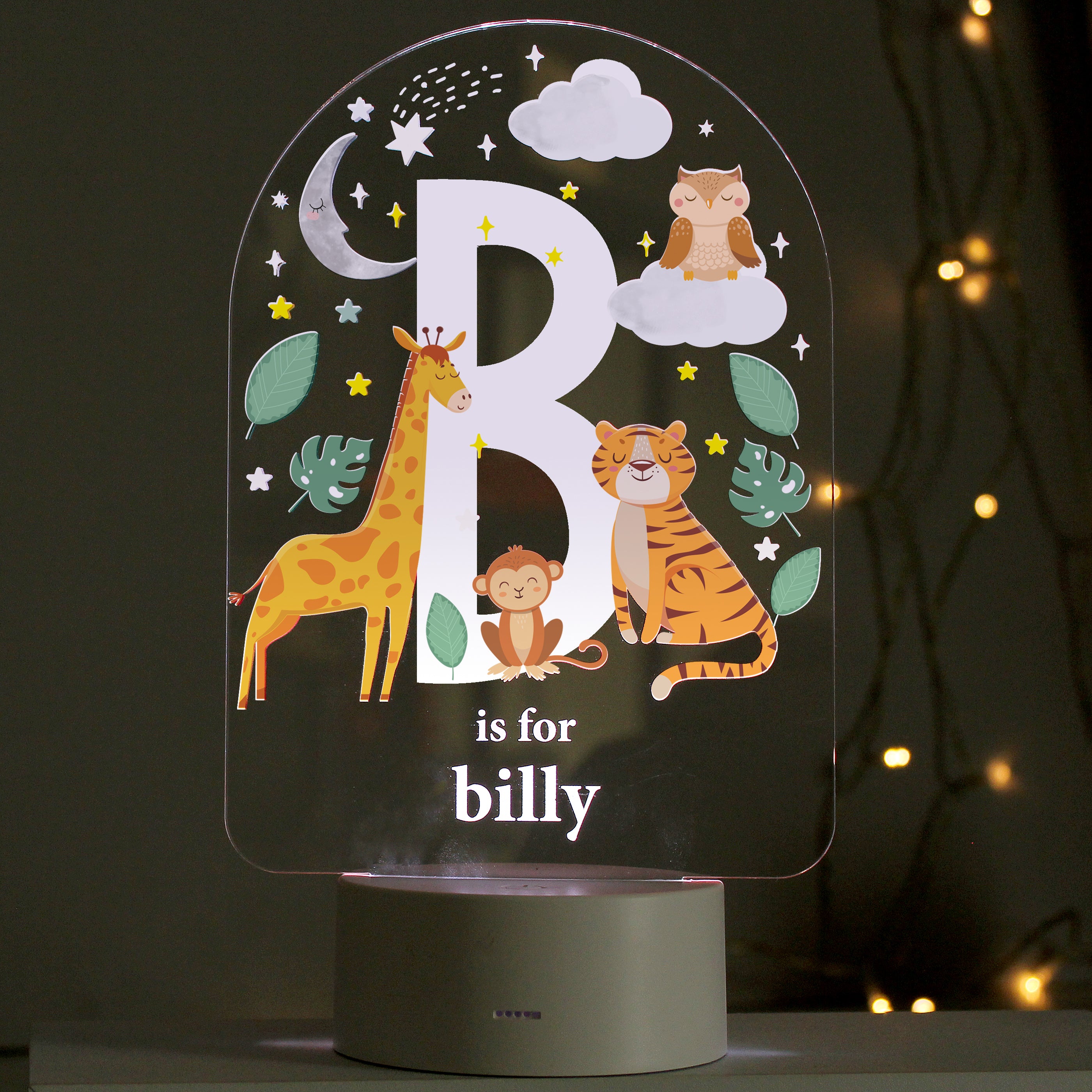 Personalised Animal Alphabet LED Colour Changing Night Light