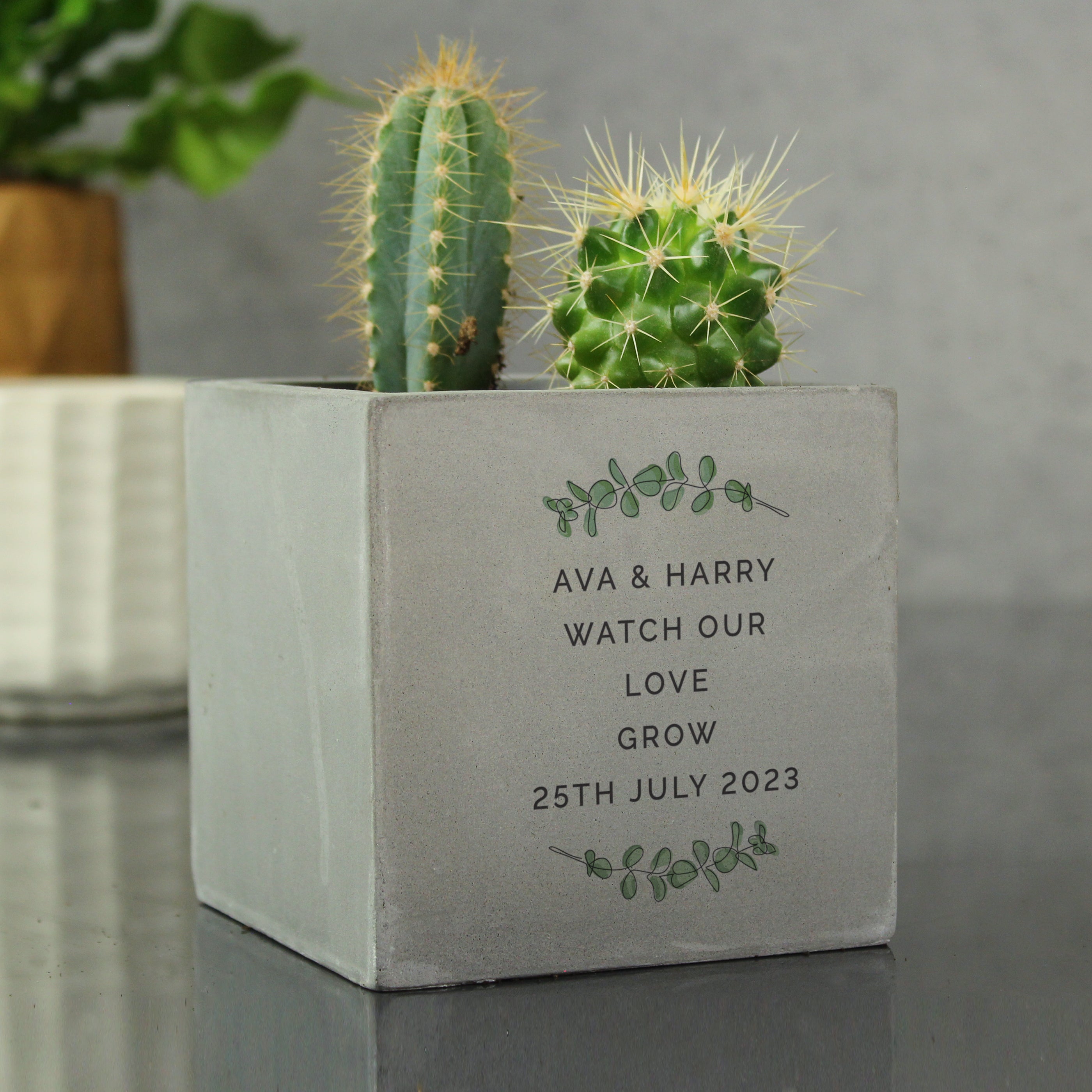 Personalised Botanical Concrete Plant Pot