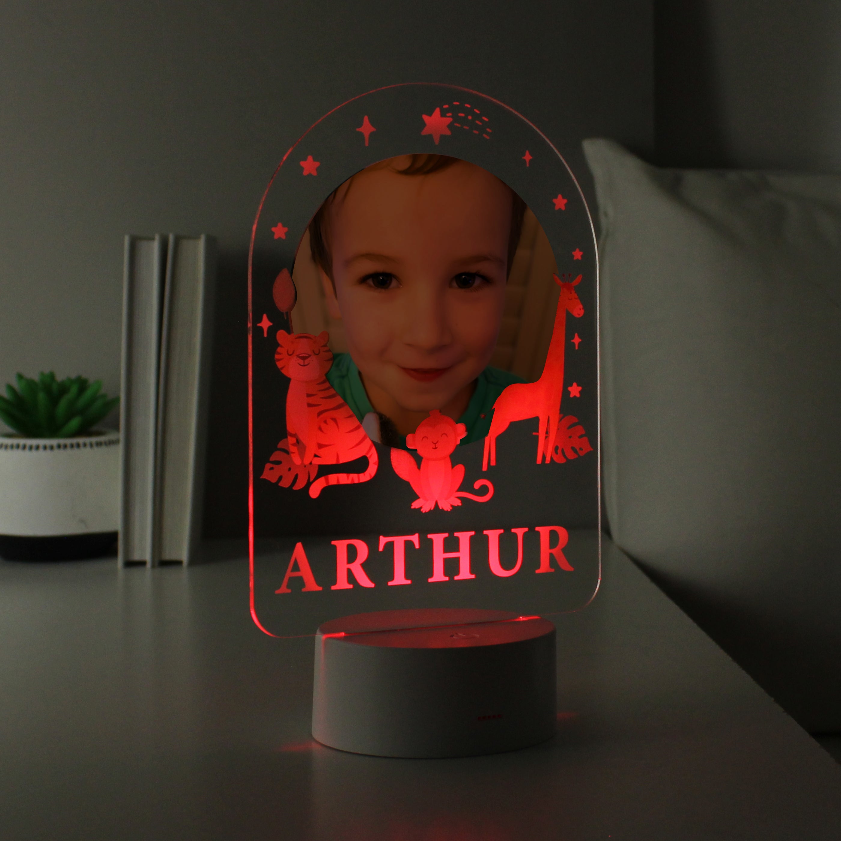 Personalised Animal Photo Upload LED Colour Changing Night Light