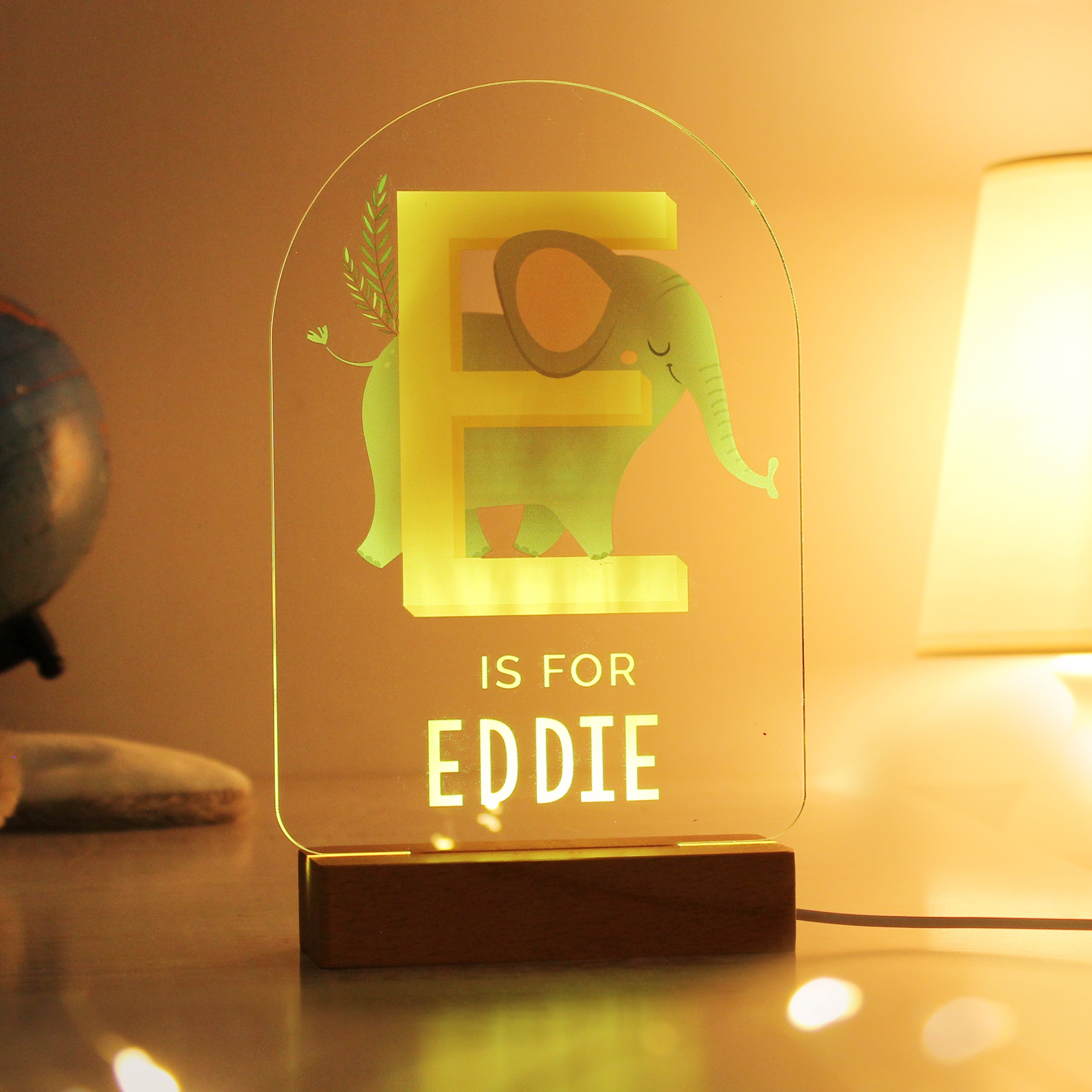 Personalised Animal Alphabet Wooden Based LED Light