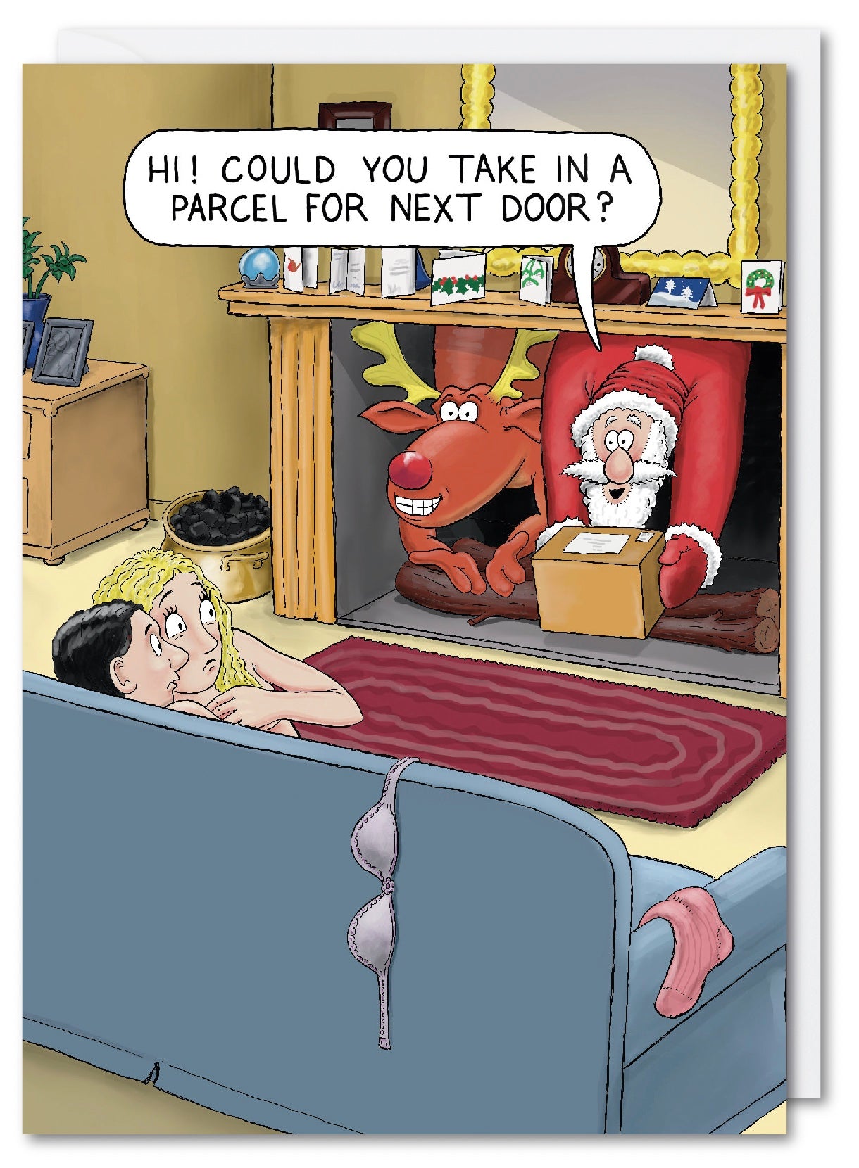 Humorous Christmas Card - Parcel Next Door