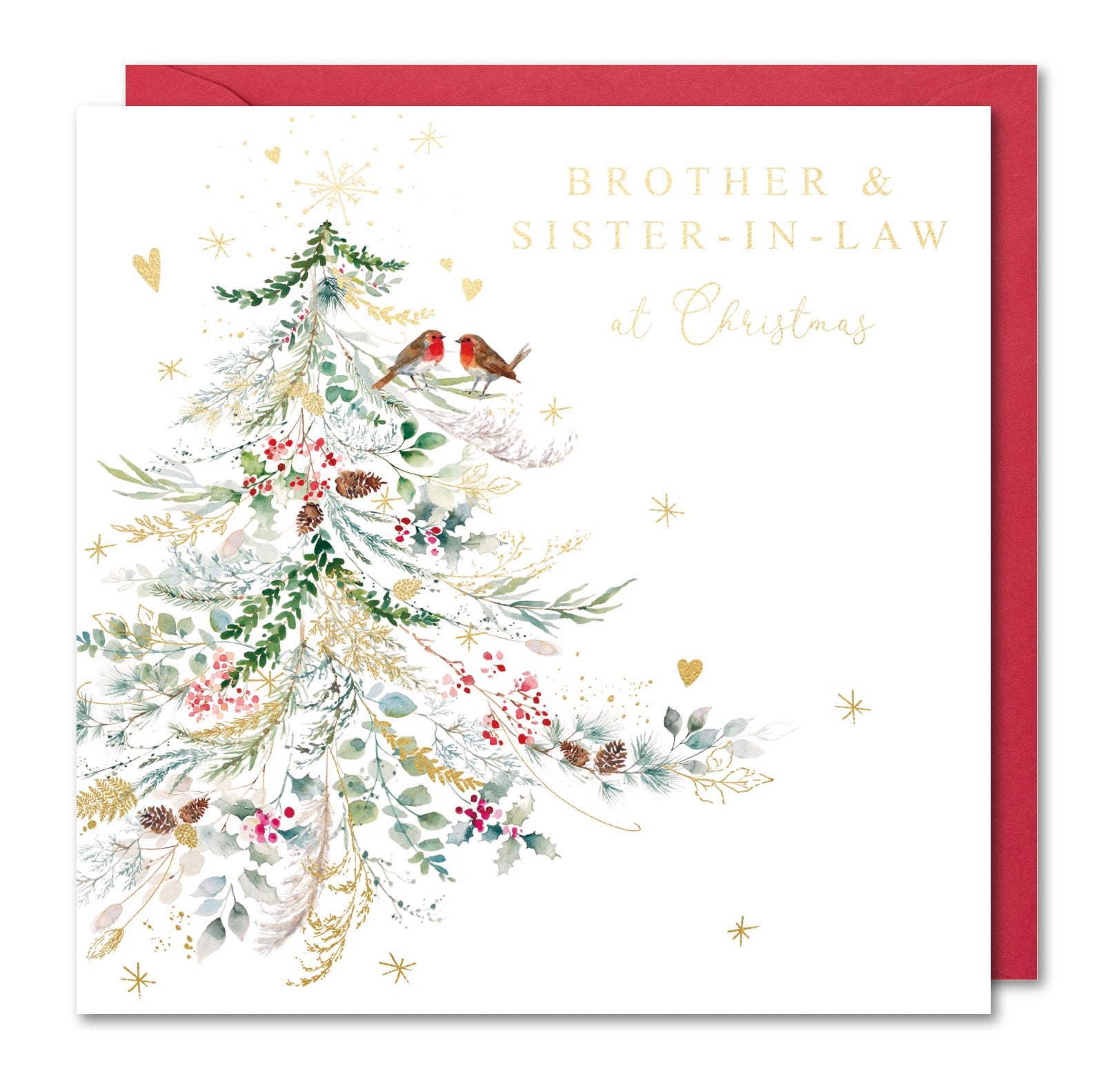 Brother & Sister-in-Law Christmas Card - Robins in Love on a Christmas Tree