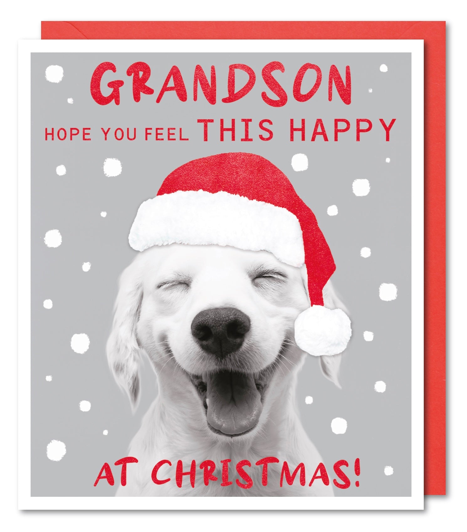 Grandson Christmas Card - Puppy Super Happy