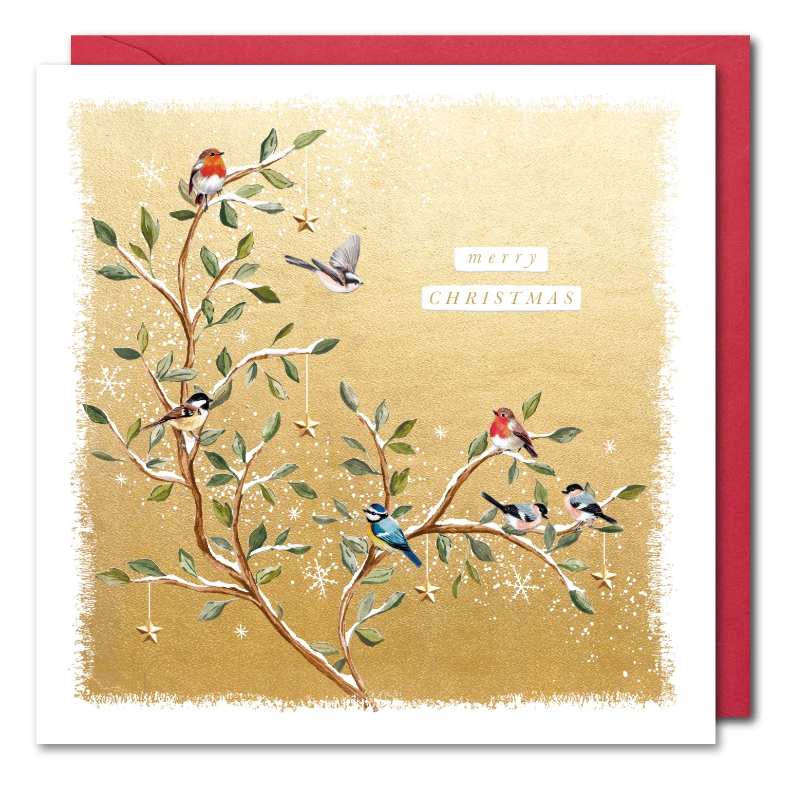 Open Christmas Card - Birds on a Branch