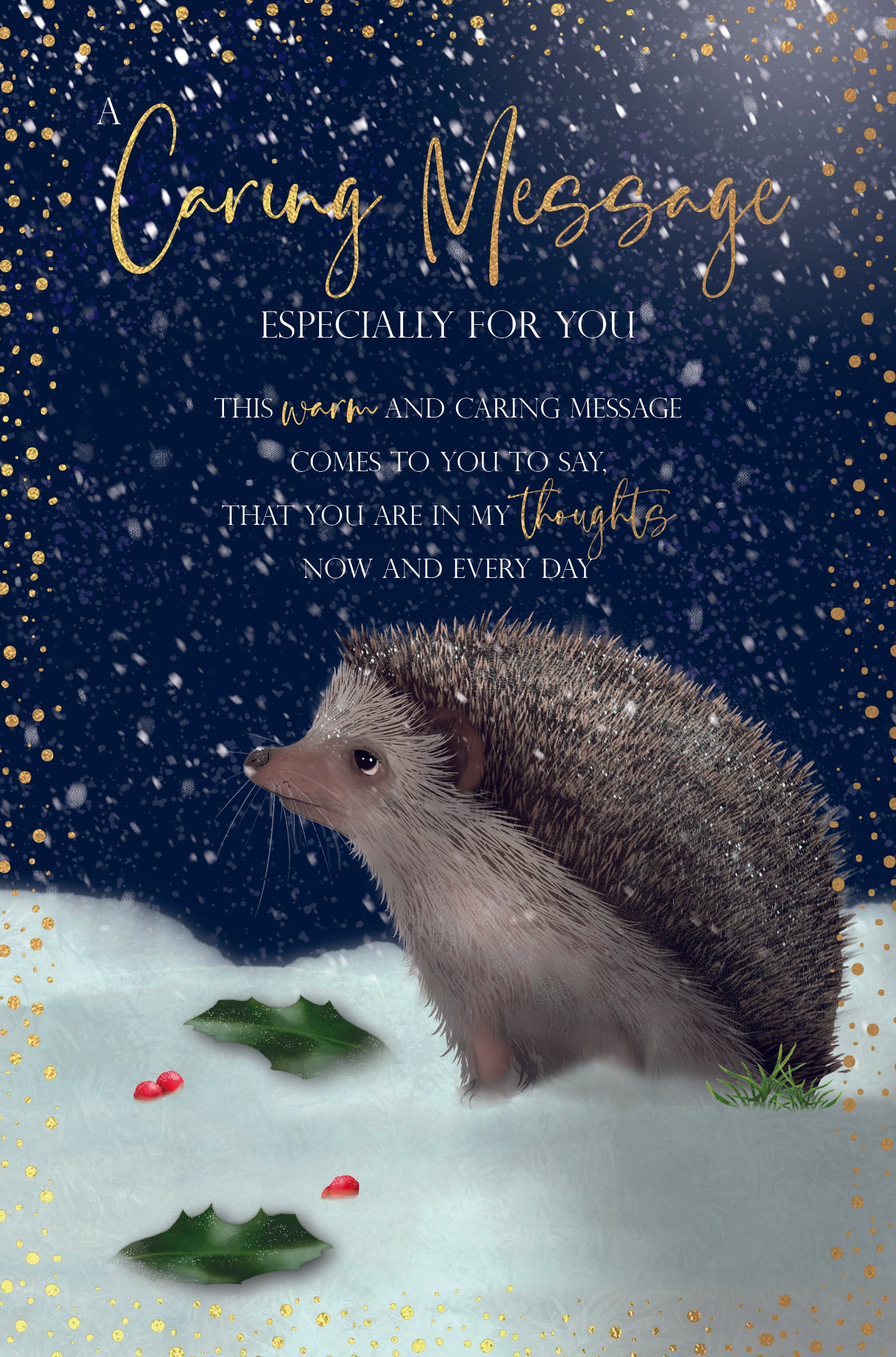 Caring Message at Christmas Card - Hedgehog