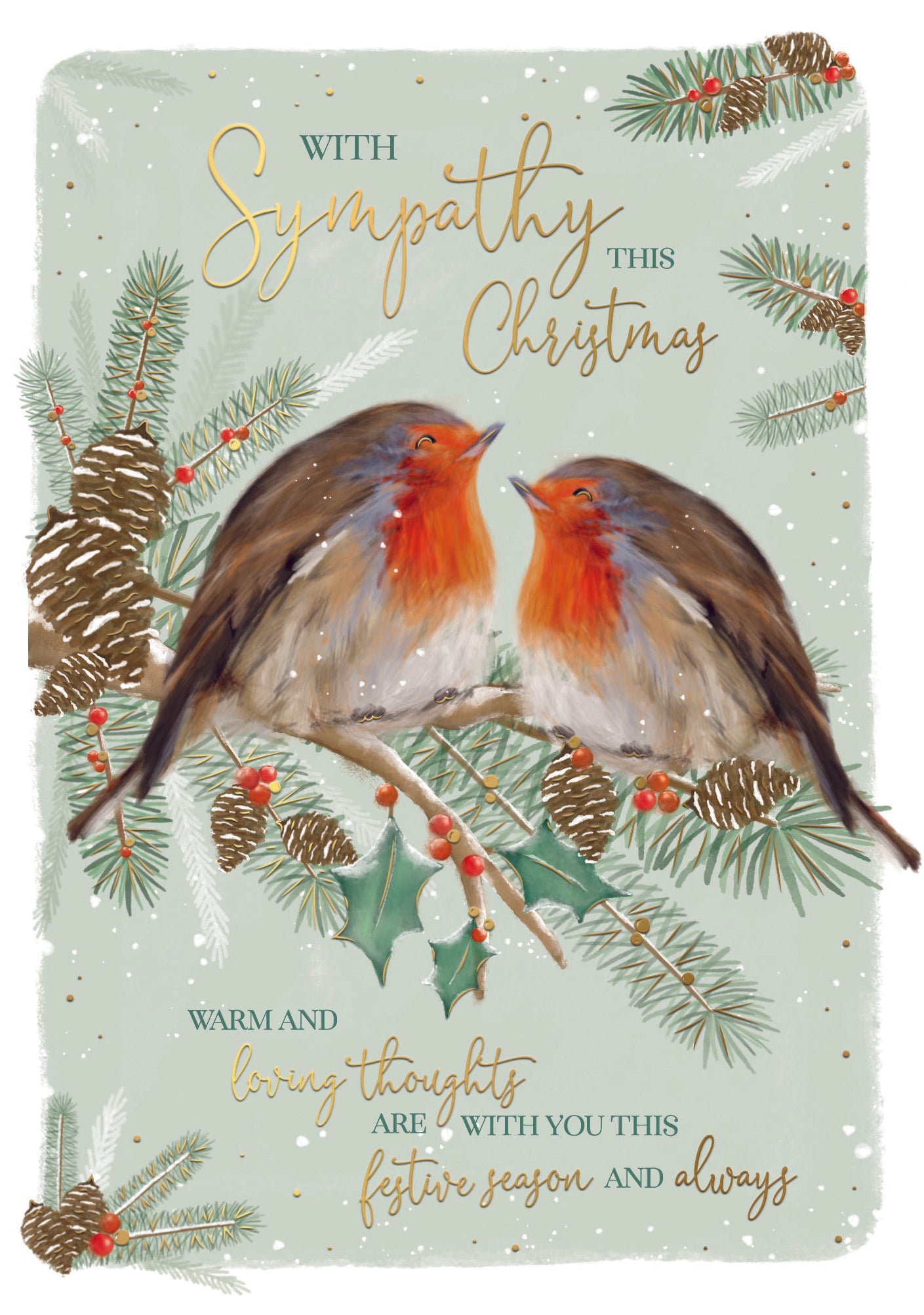 Sympathy This Christmas Card - Two Robins