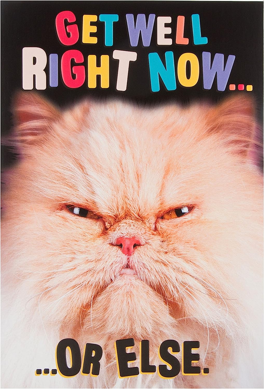 Humorous Get Well Soon Card - This Cat Means Business Or Else