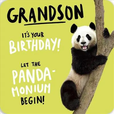 Grandson Birthday Card - Admiring Panda