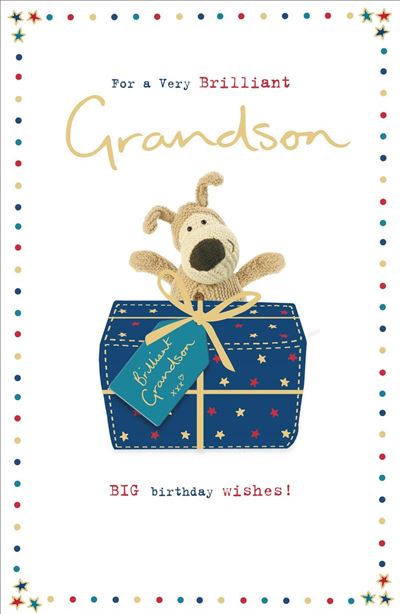 Grandson Birthday Card - Proud Boofles With Present